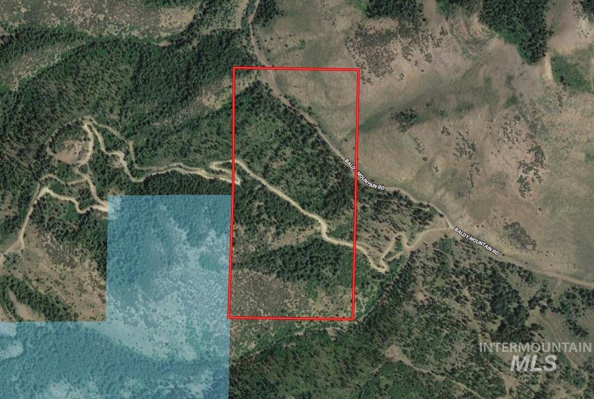 Tbd Baldy Mountain Rd Property Photo 3