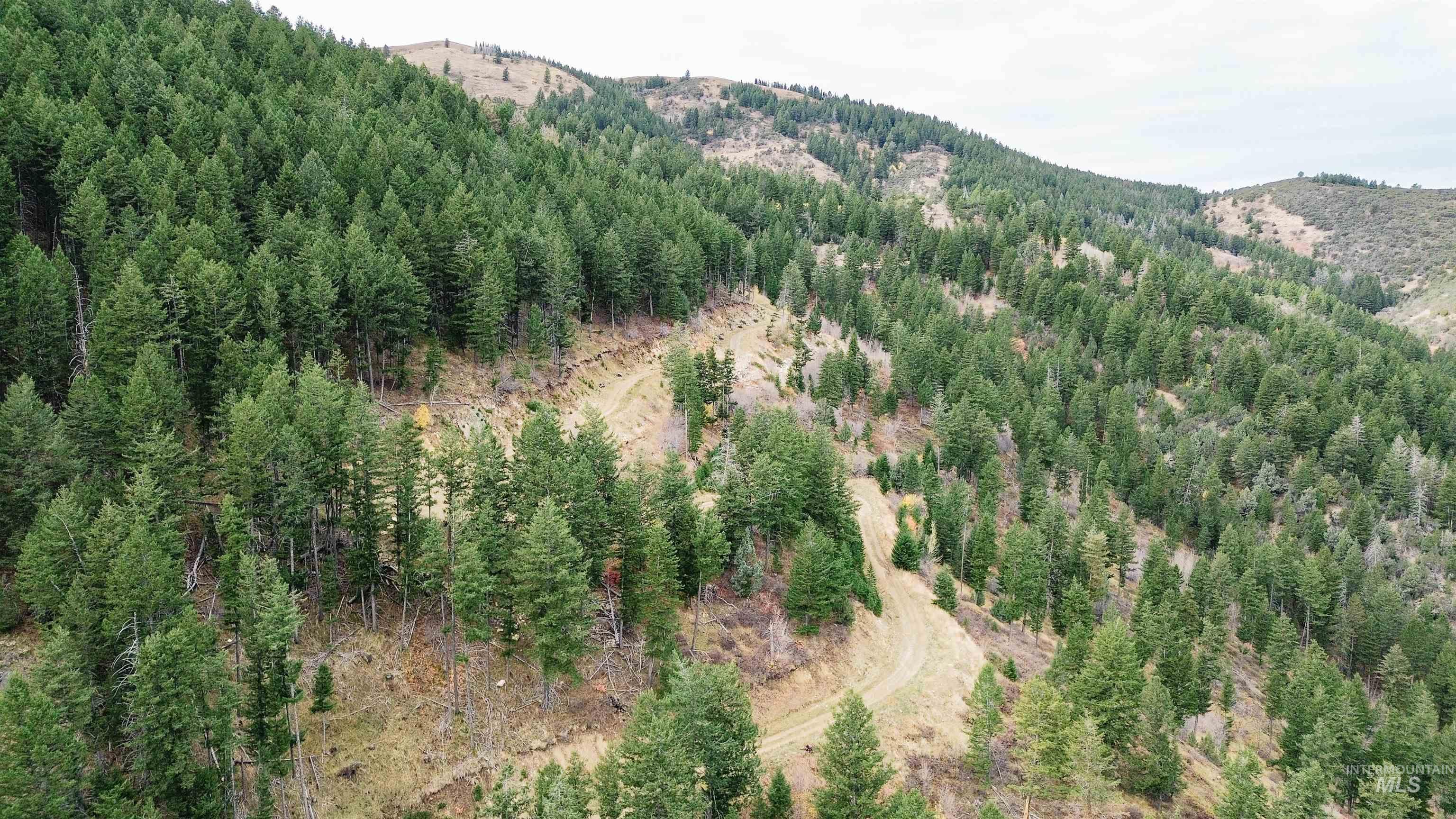 Tbd Baldy Mountain Rd Property Photo 6