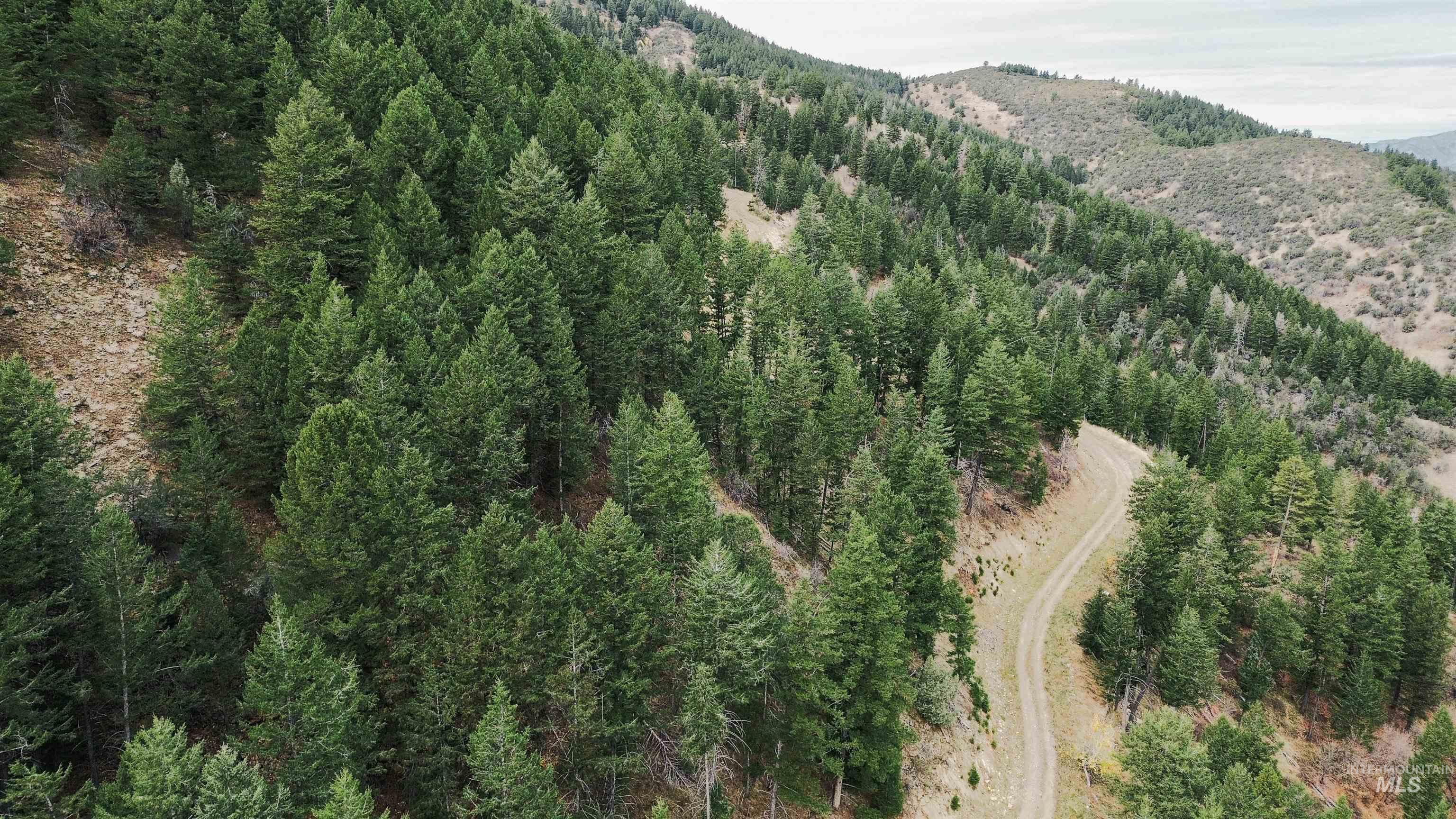 Tbd Baldy Mountain Rd Property Photo 8