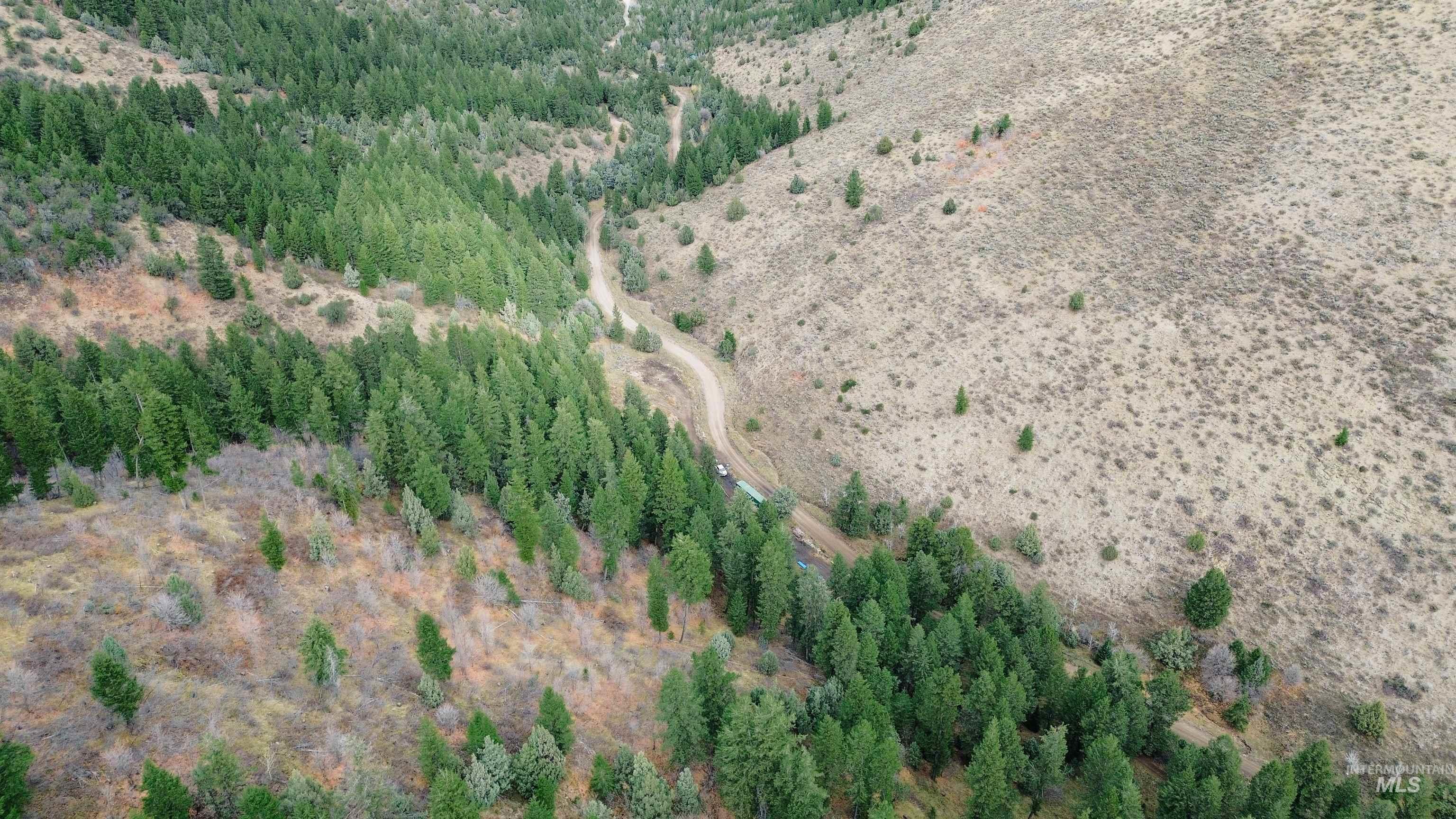 Tbd Baldy Mountain Rd Property Photo 9