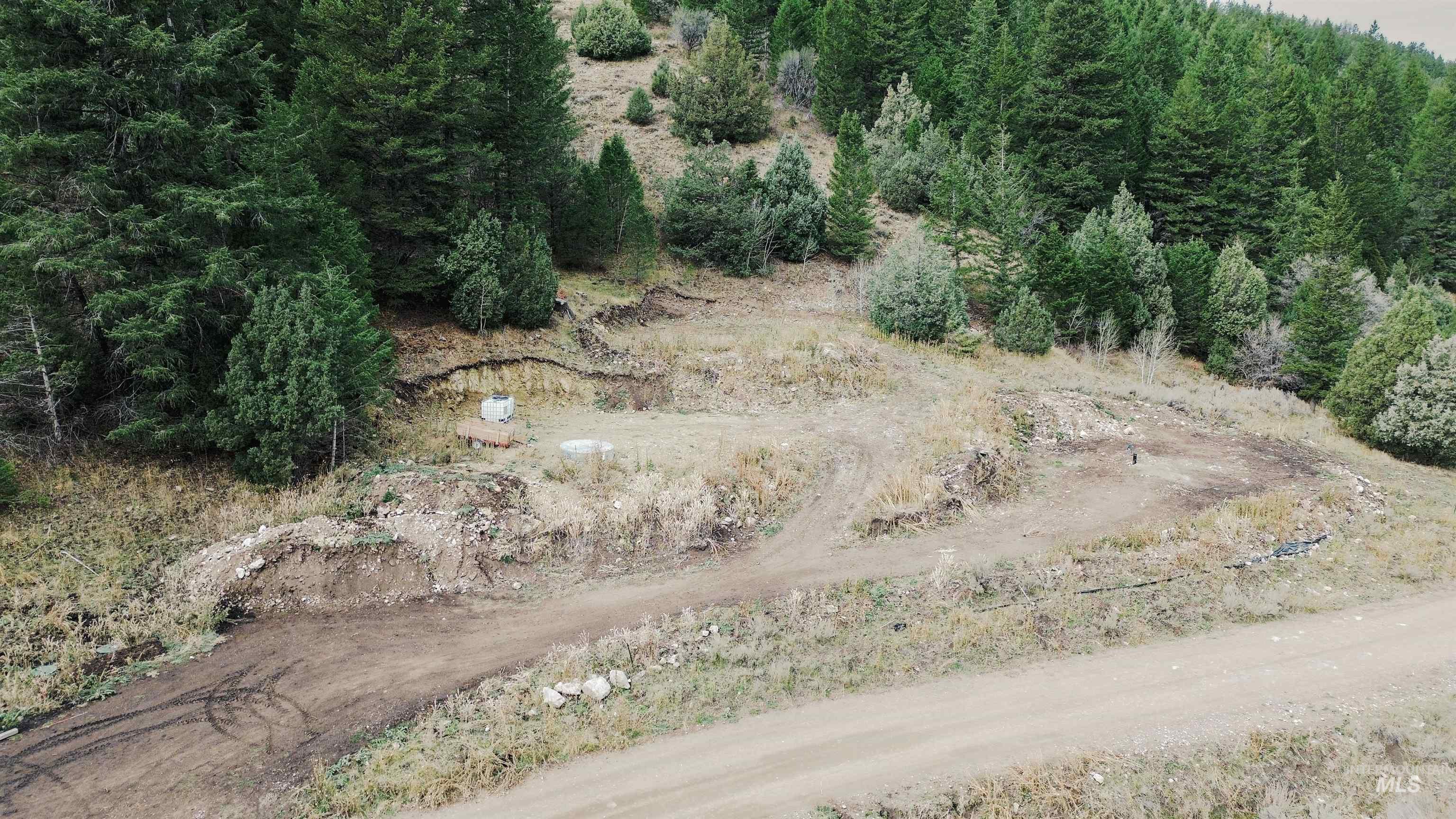 Tbd Baldy Mountain Rd Property Photo 10