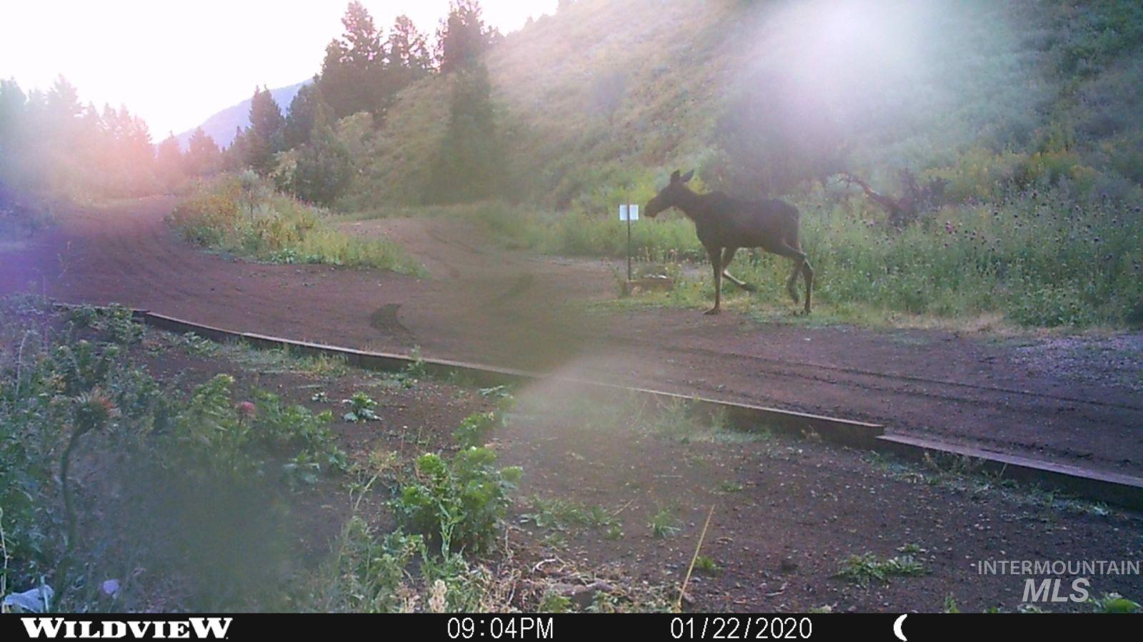 Tbd Baldy Mountain Rd Property Photo 18