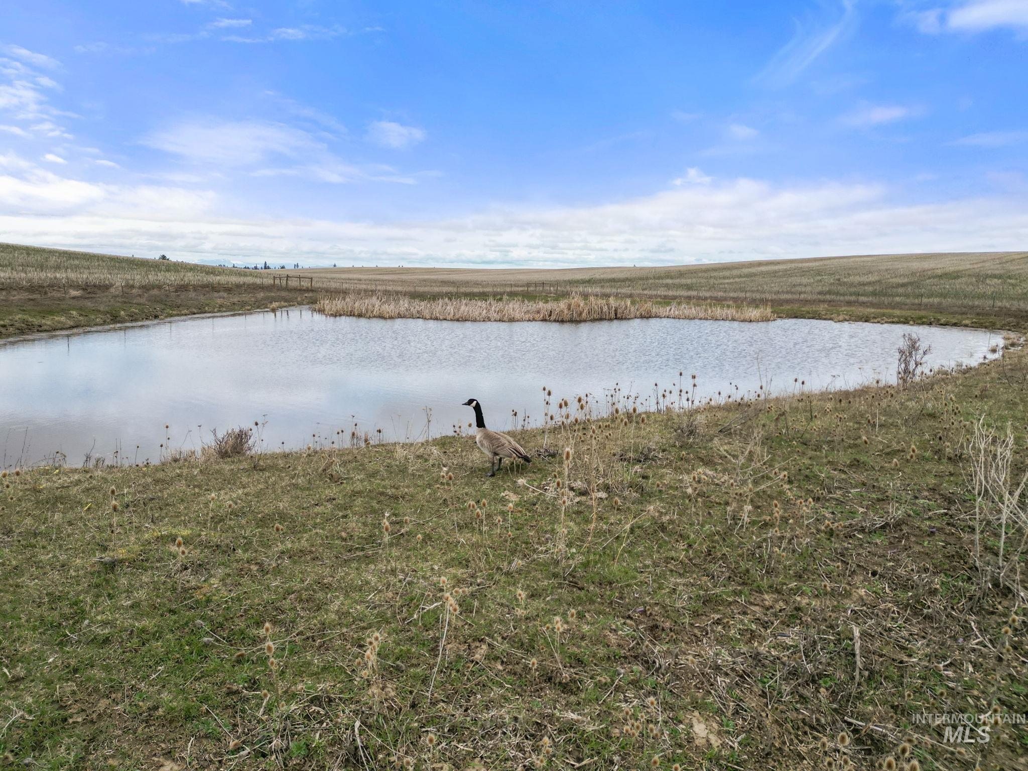 2326 Reubens Road Property Photo 12