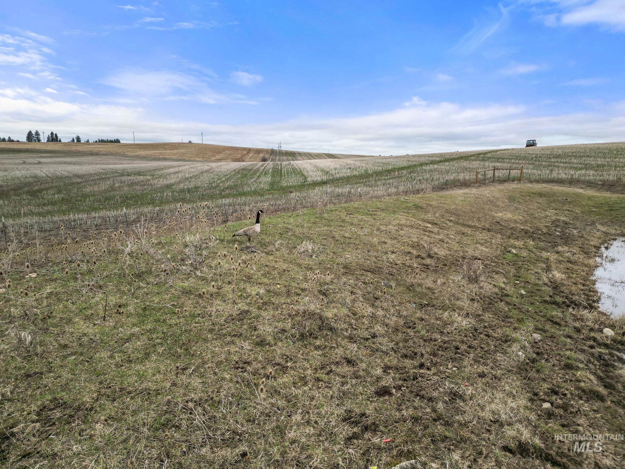 2326 Reubens Road Property Photo 24