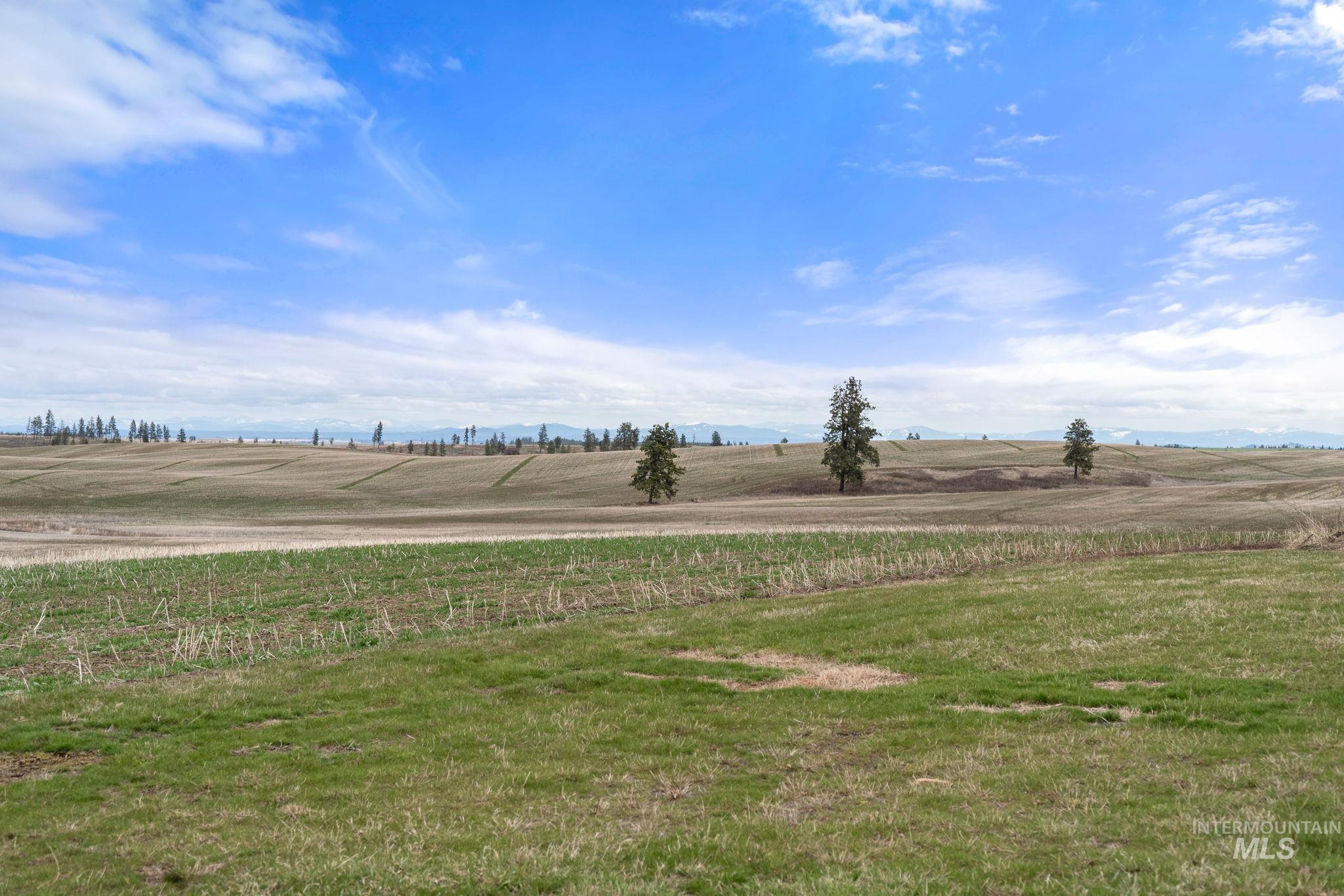 2326 Reubens Road Property Photo 42