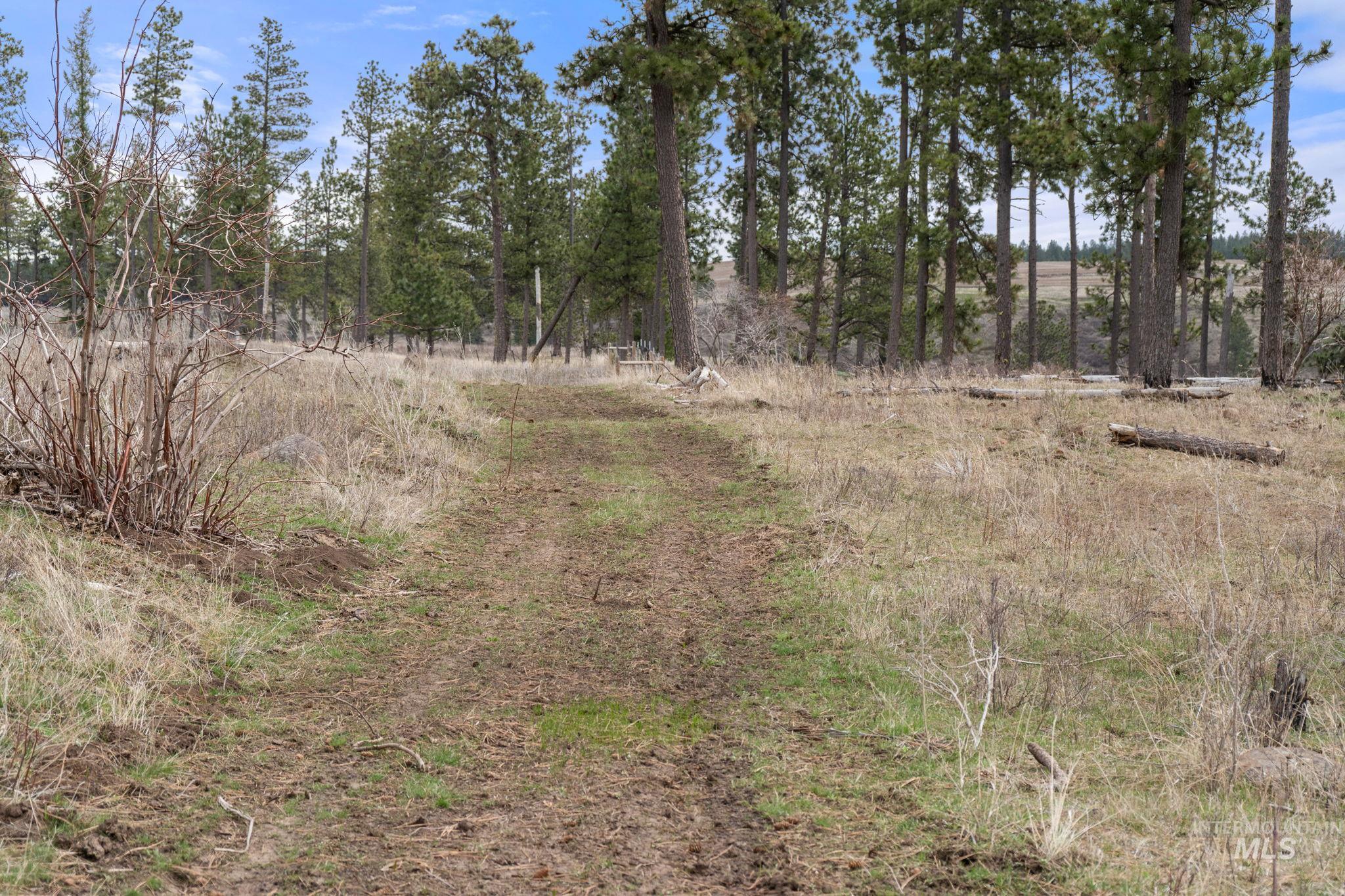 2326 Reubens Road Property Photo 7