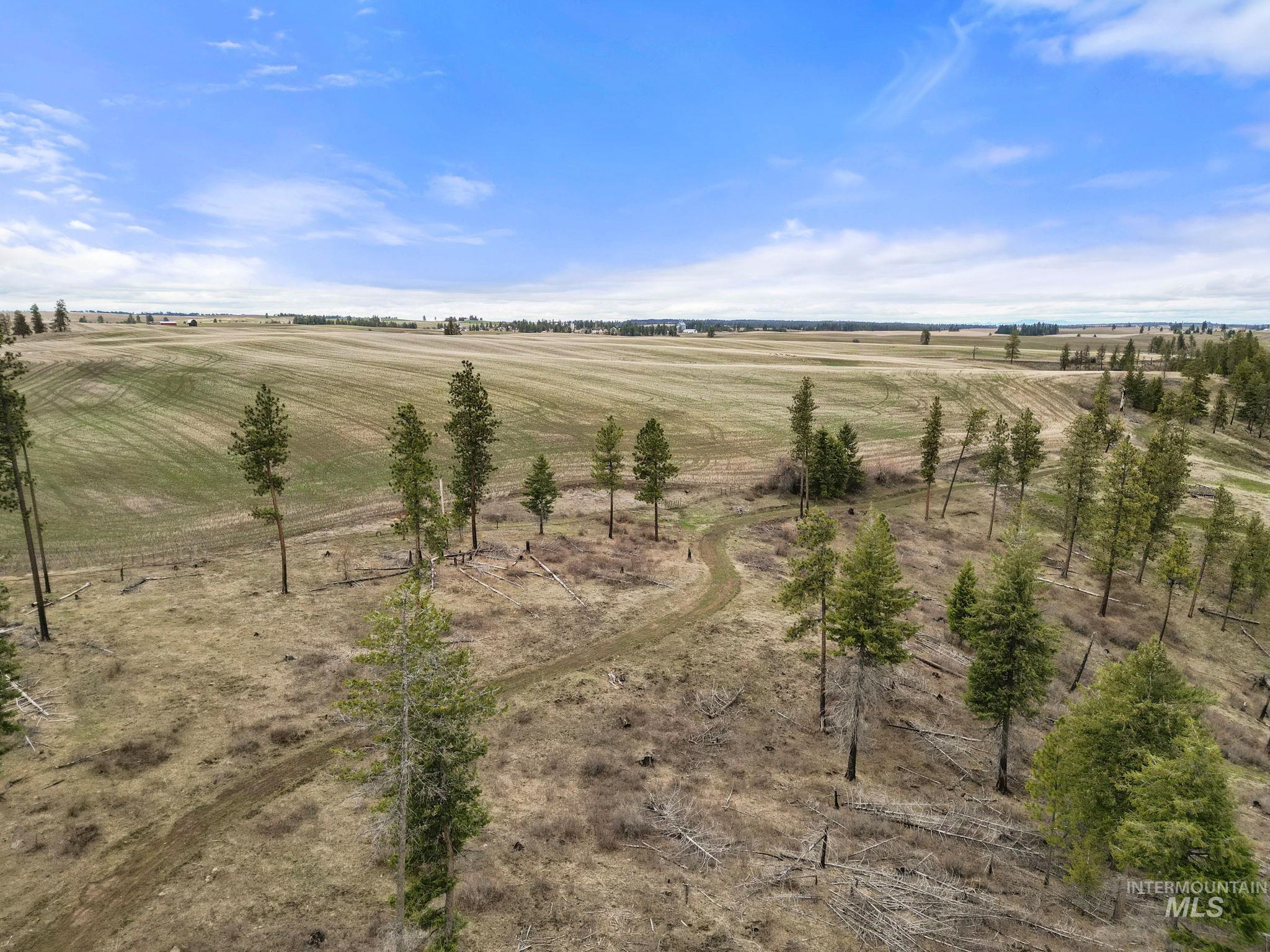 2326 Reubens Road Property Photo 12