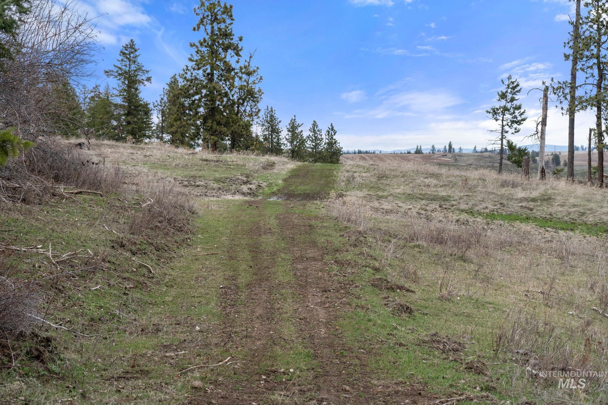 2326 Reubens Road Property Photo 18
