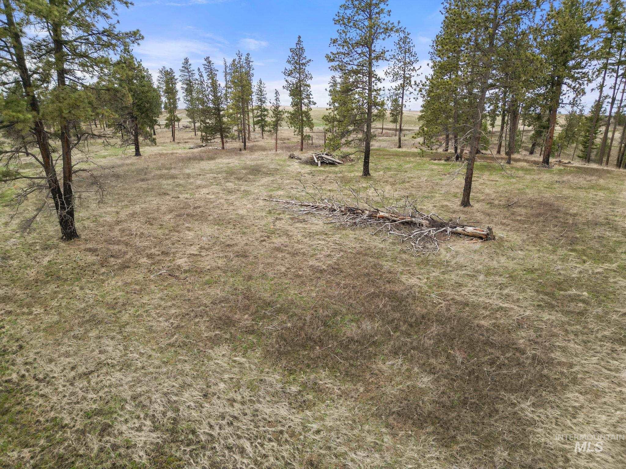 2326 Reubens Road Property Photo 22
