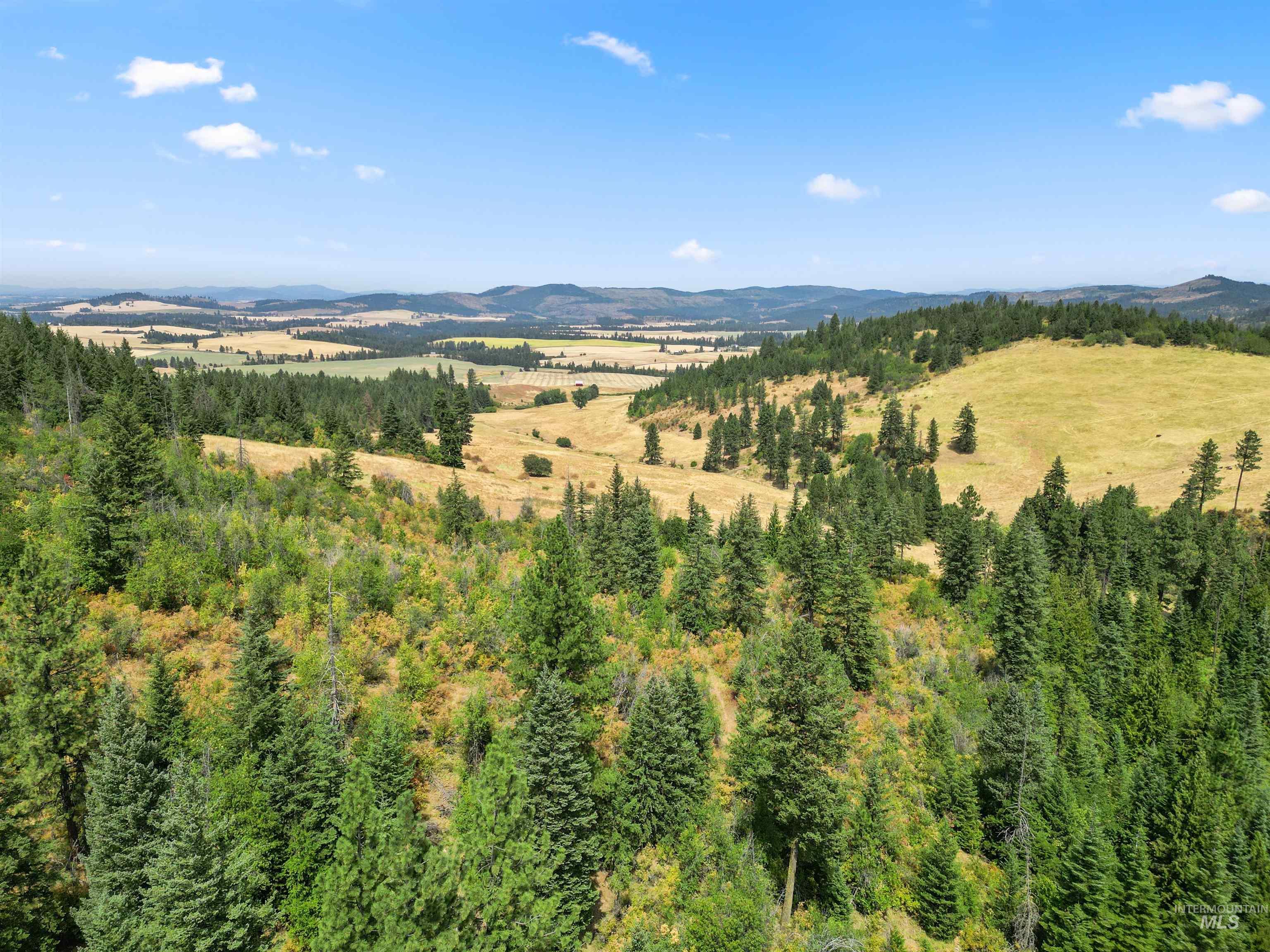 Tbd Bluegrass Lane Property Photo 3