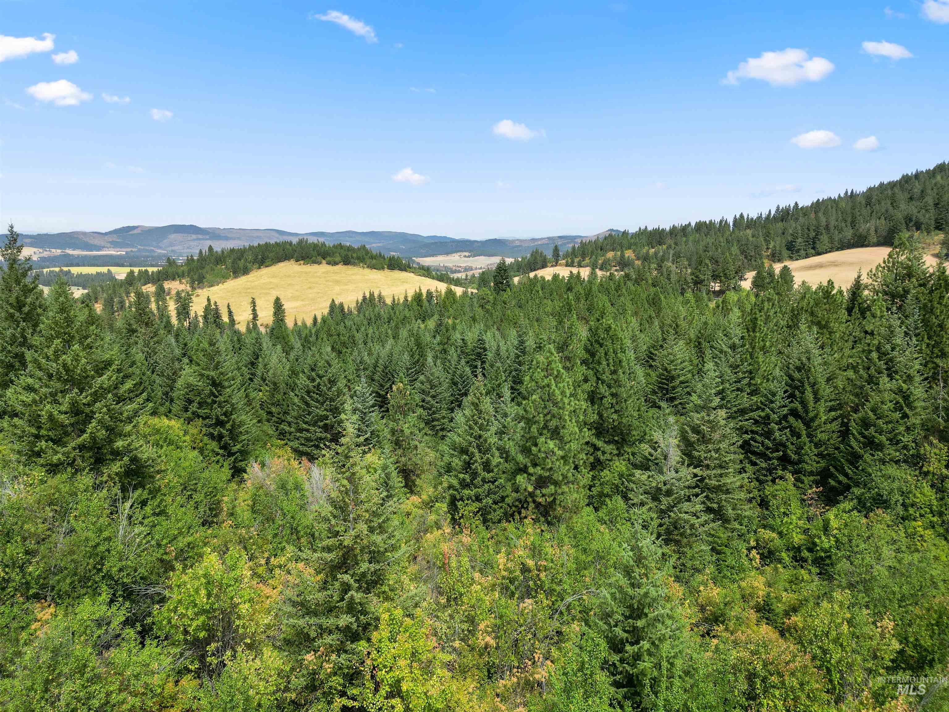 Tbd Bluegrass Lane Property Photo 9