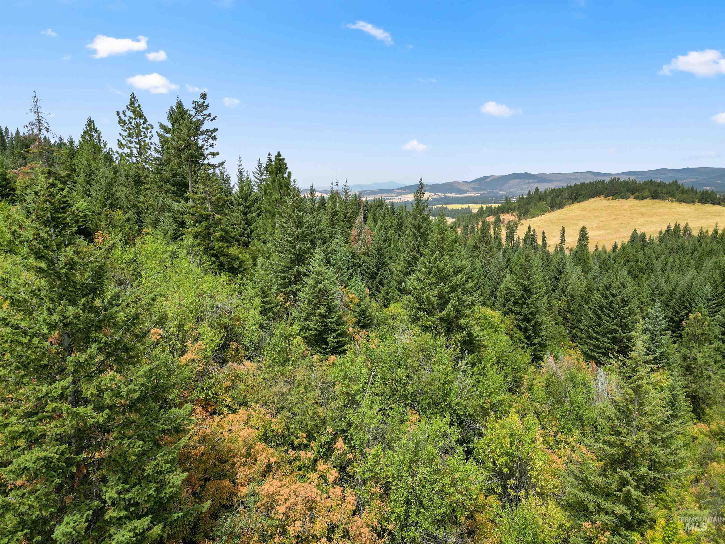 Tbd Bluegrass Lane Property Photo 10