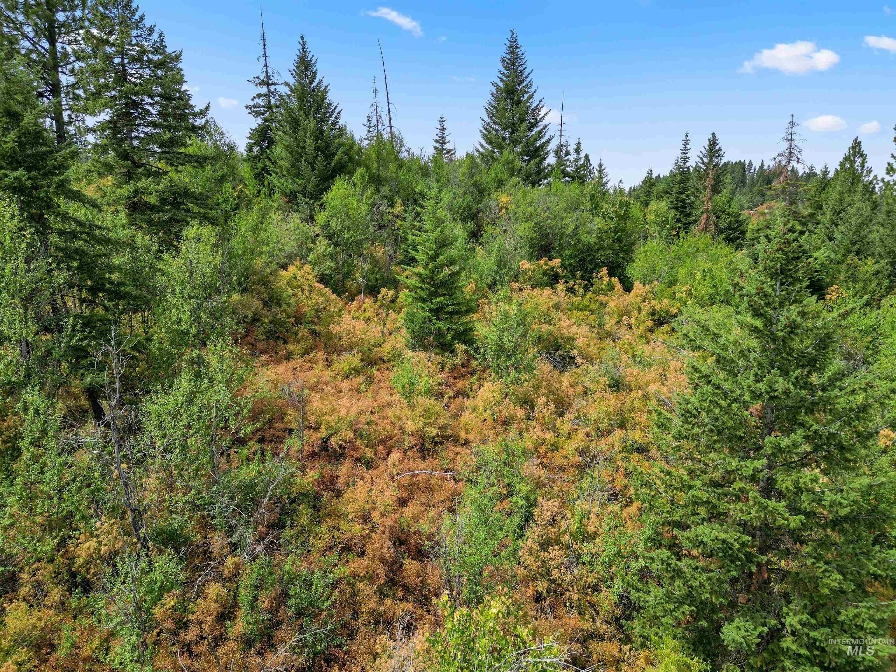 Tbd Bluegrass Lane Property Photo 11