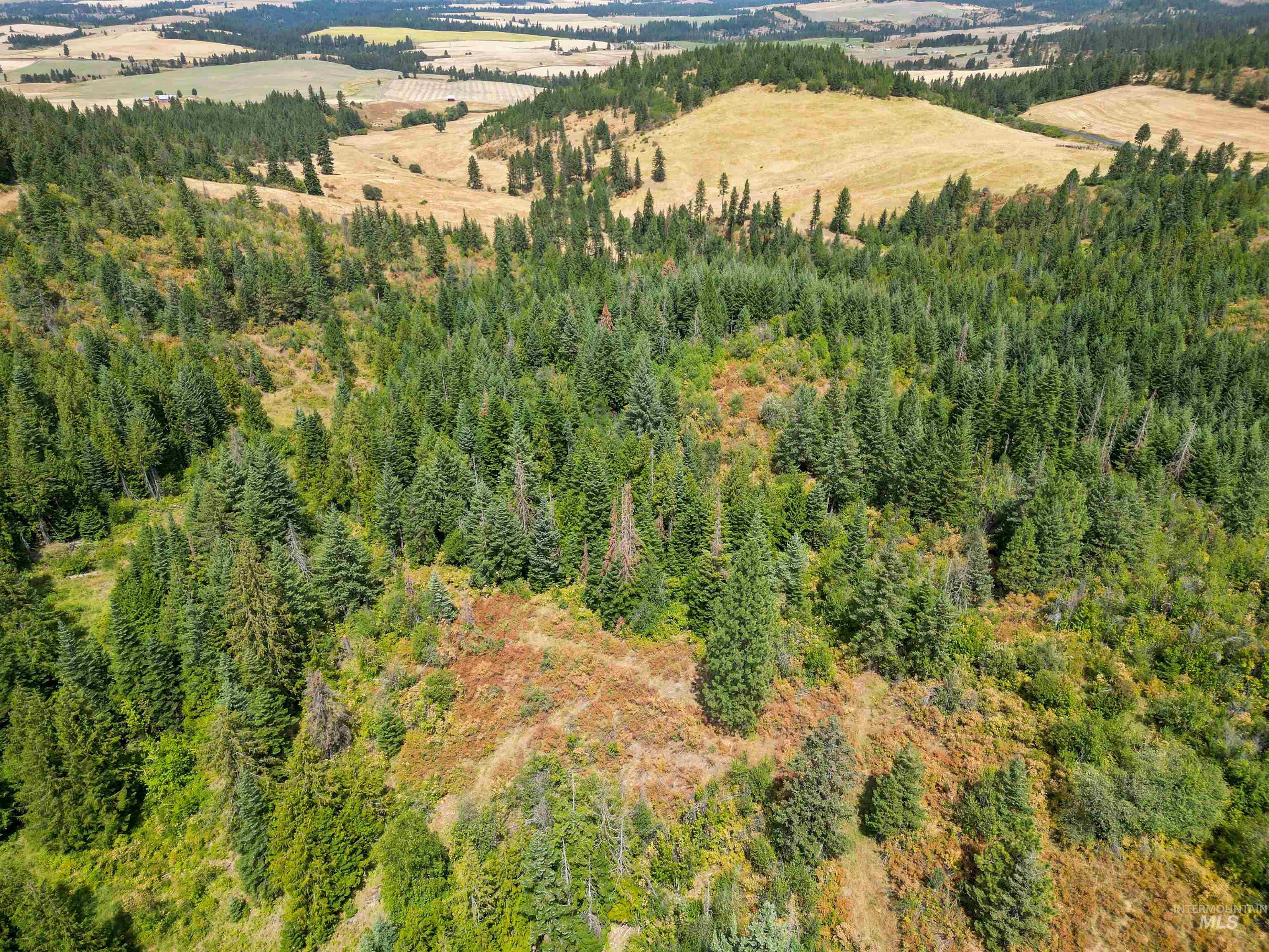Tbd Bluegrass Lane Property Photo 22