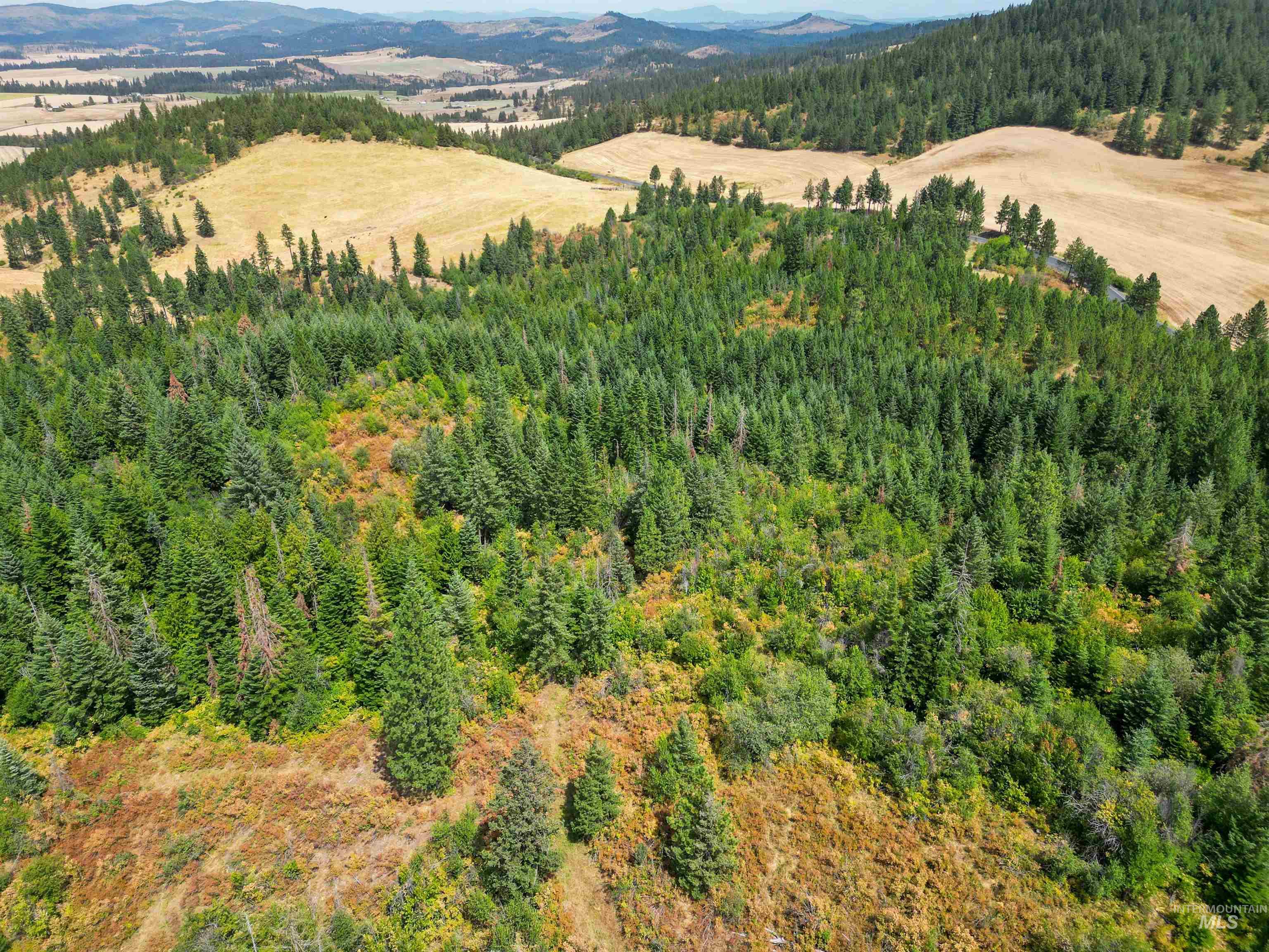 Tbd Bluegrass Lane Property Photo 23