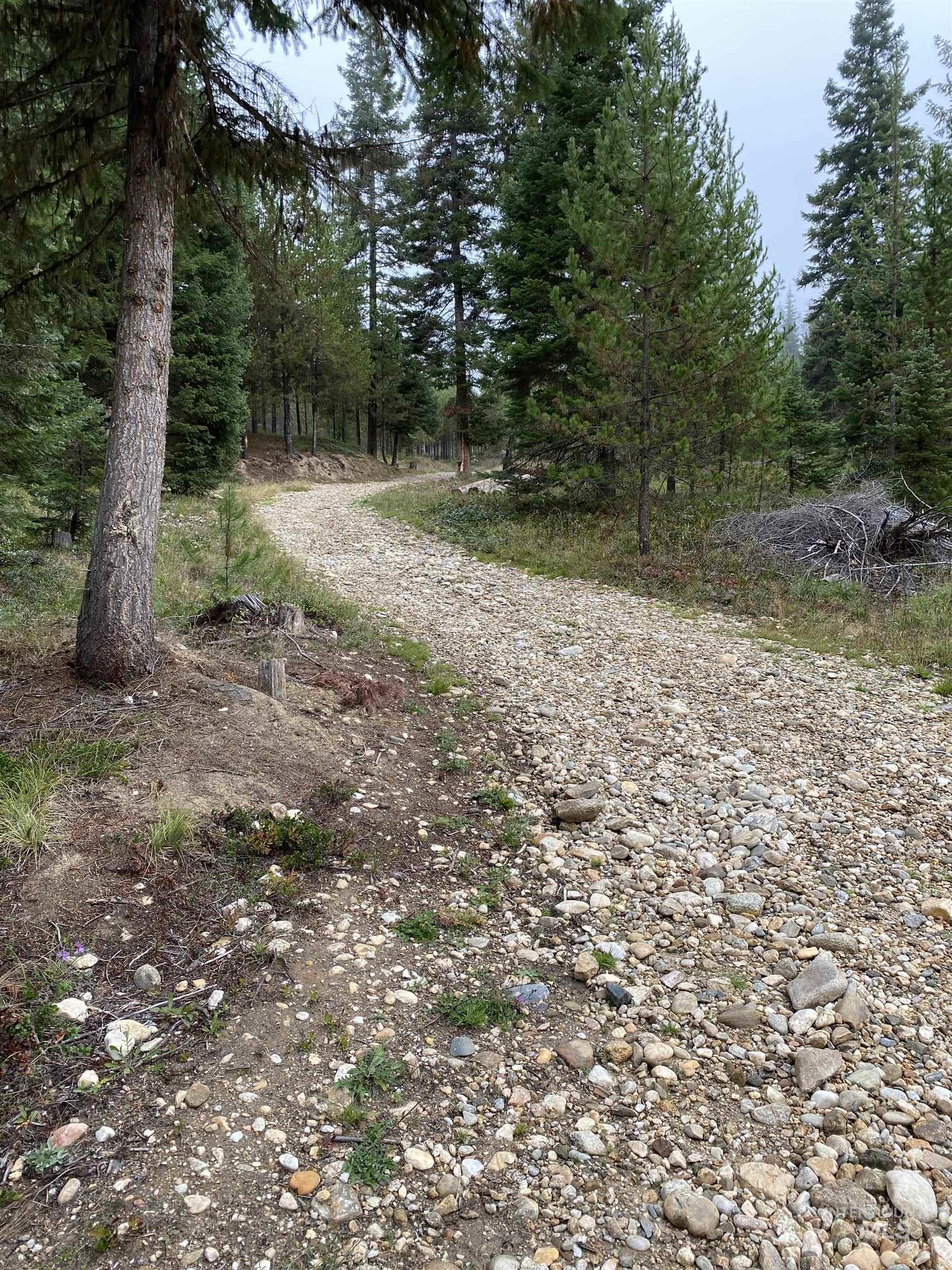501 And 575 Pf1 Extension Road Property Photo 30