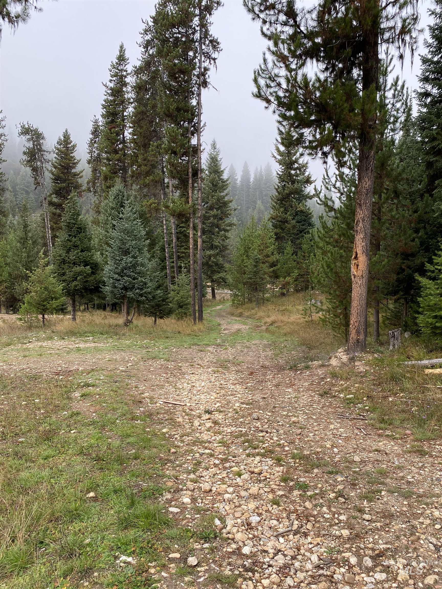 501 And 575 Pf1 Extension Road Property Photo 34