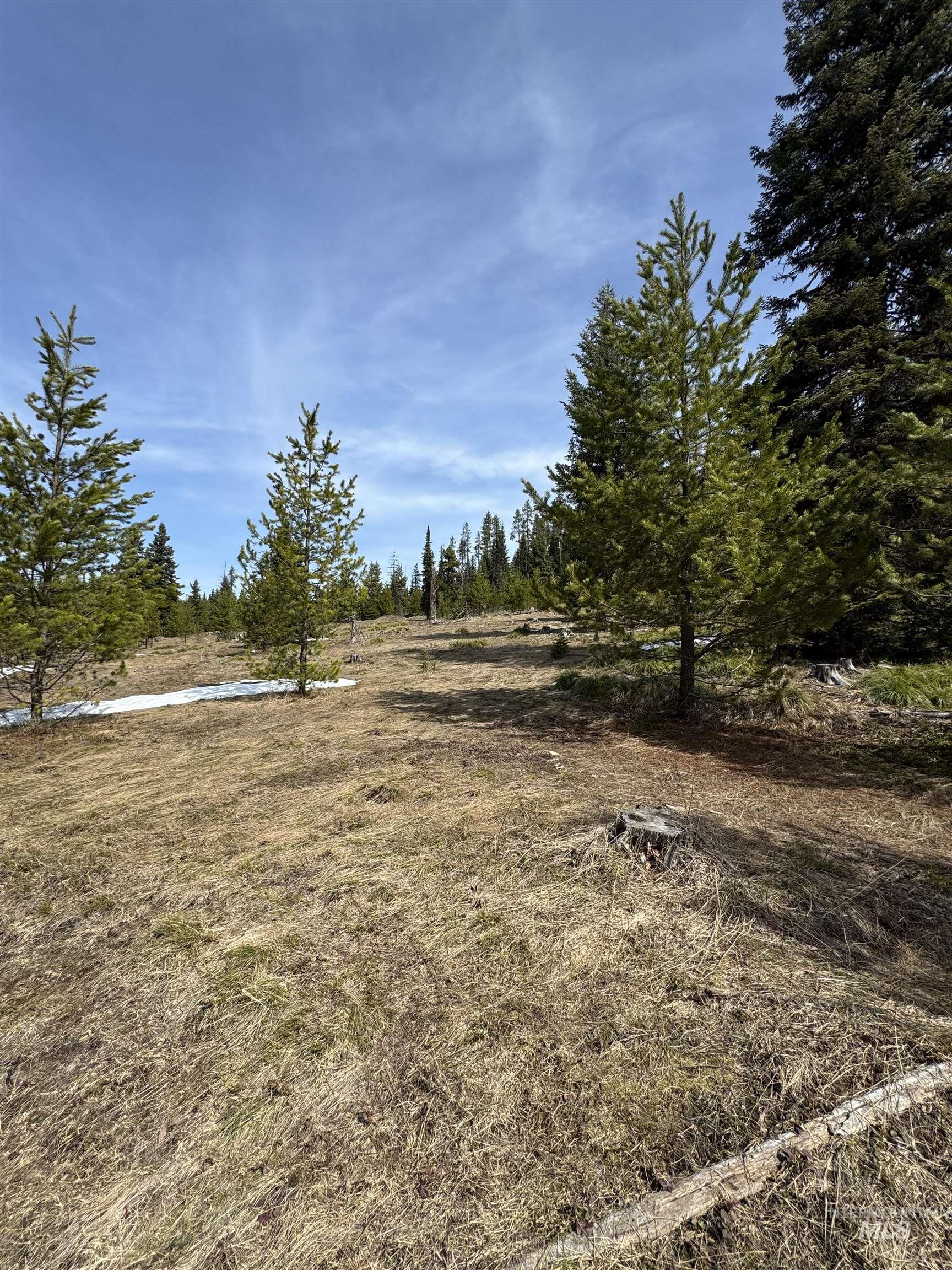 501 And 575 Pf1 Extension Road Property Photo 36