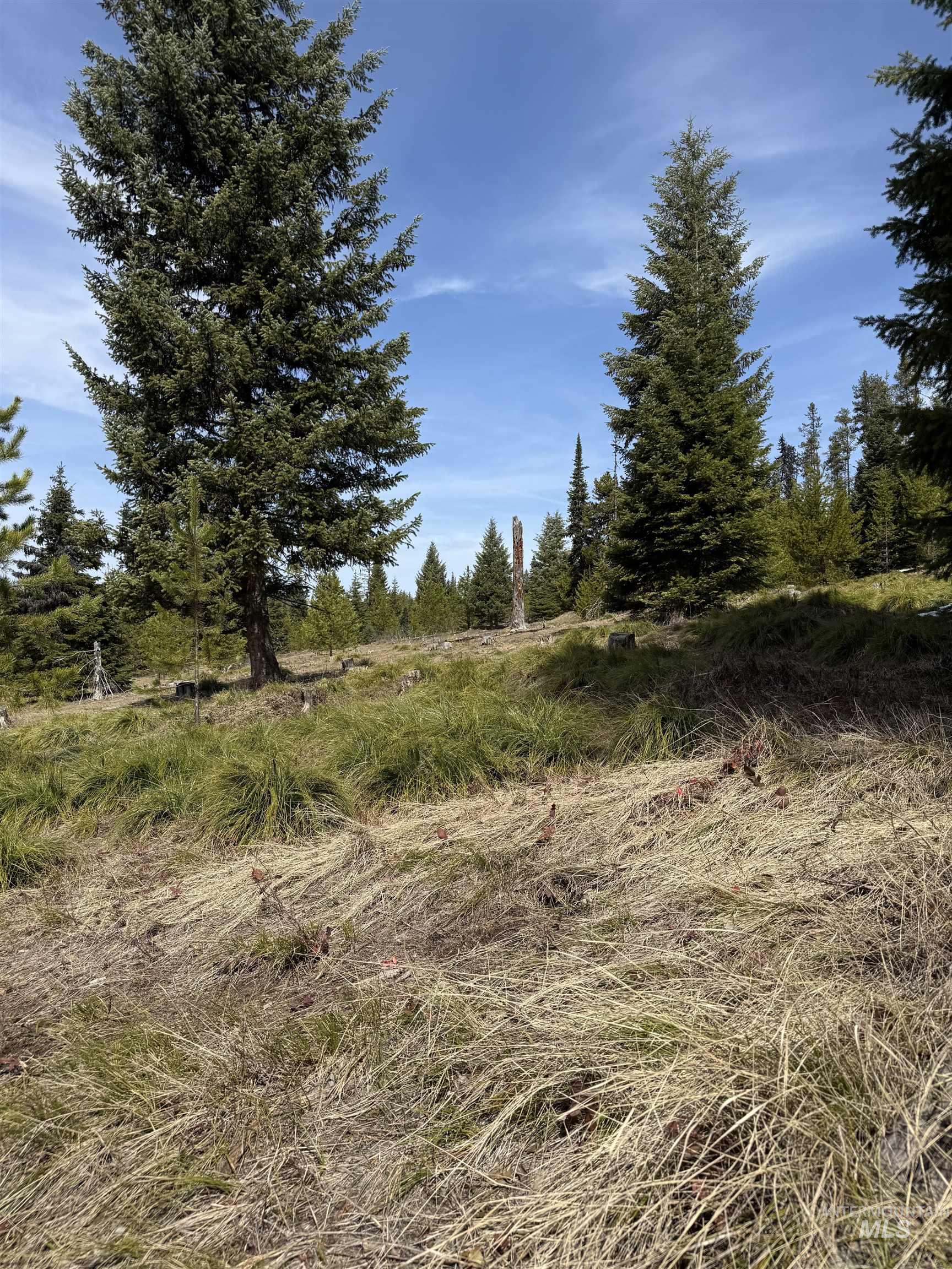501 And 575 Pf1 Extension Road Property Photo 37