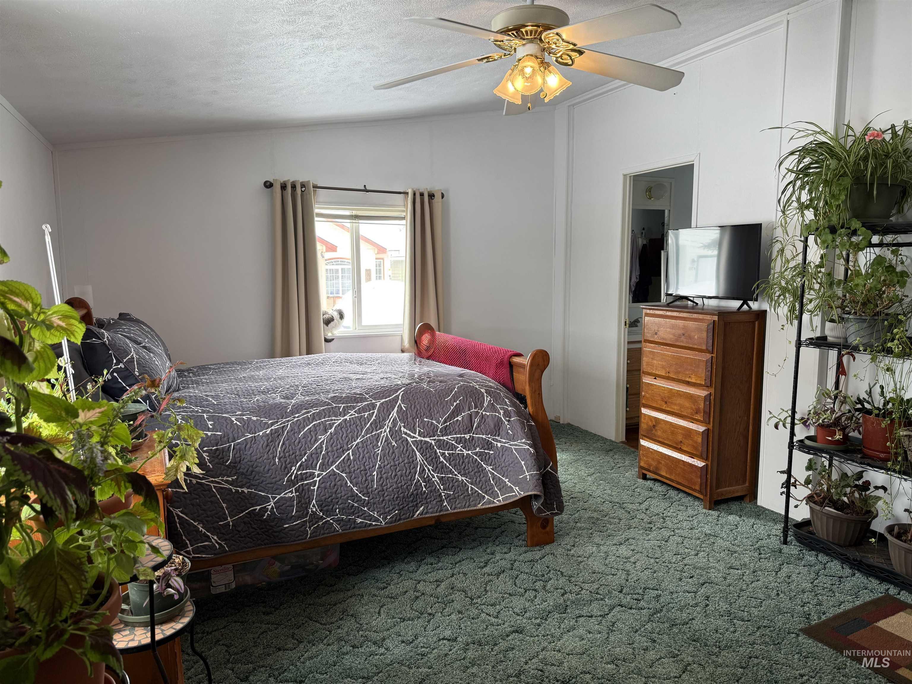 427 Virginia Property Photo 14