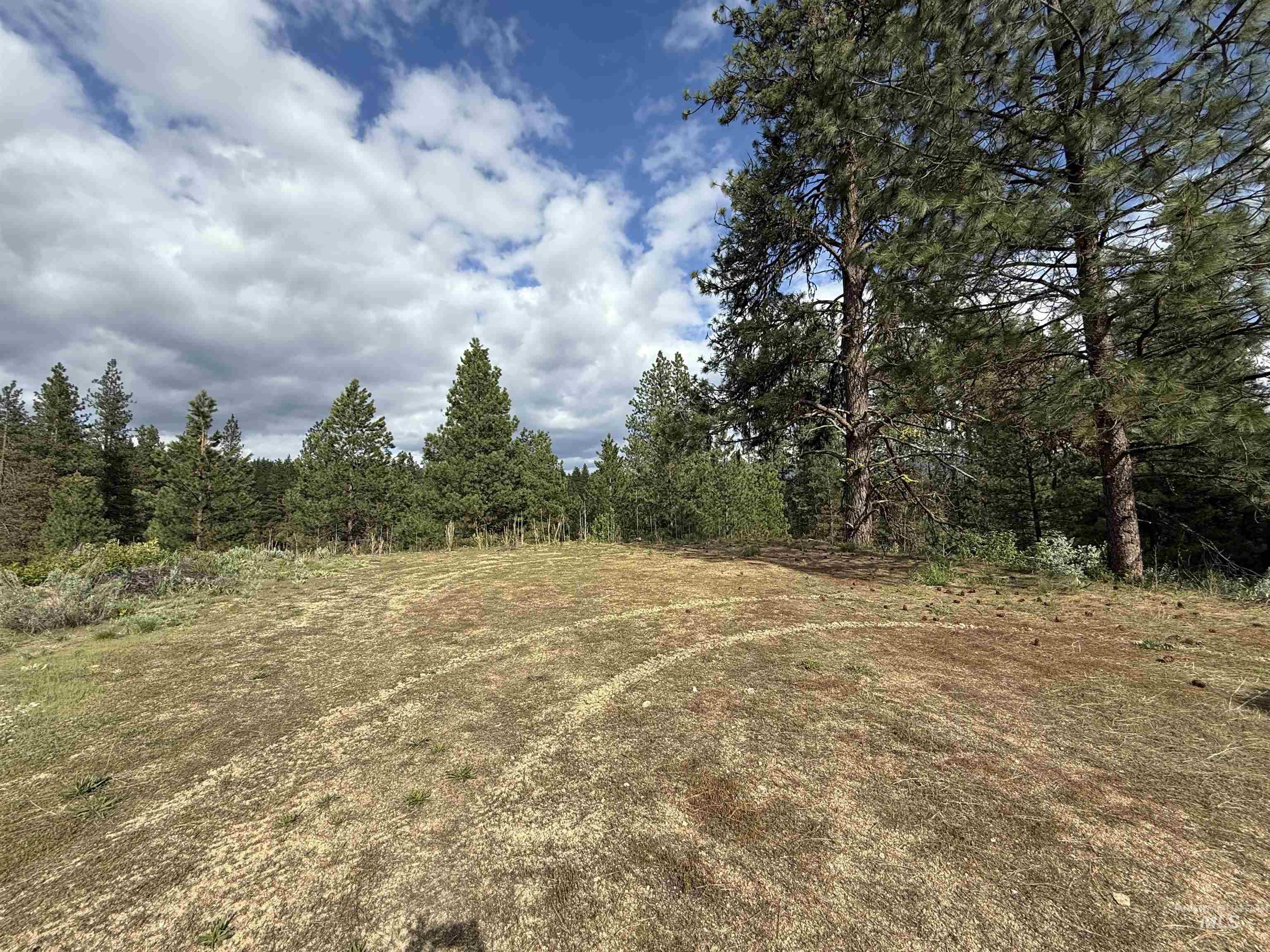 190 Meadow Dr. Lot 16 Property Photo 3