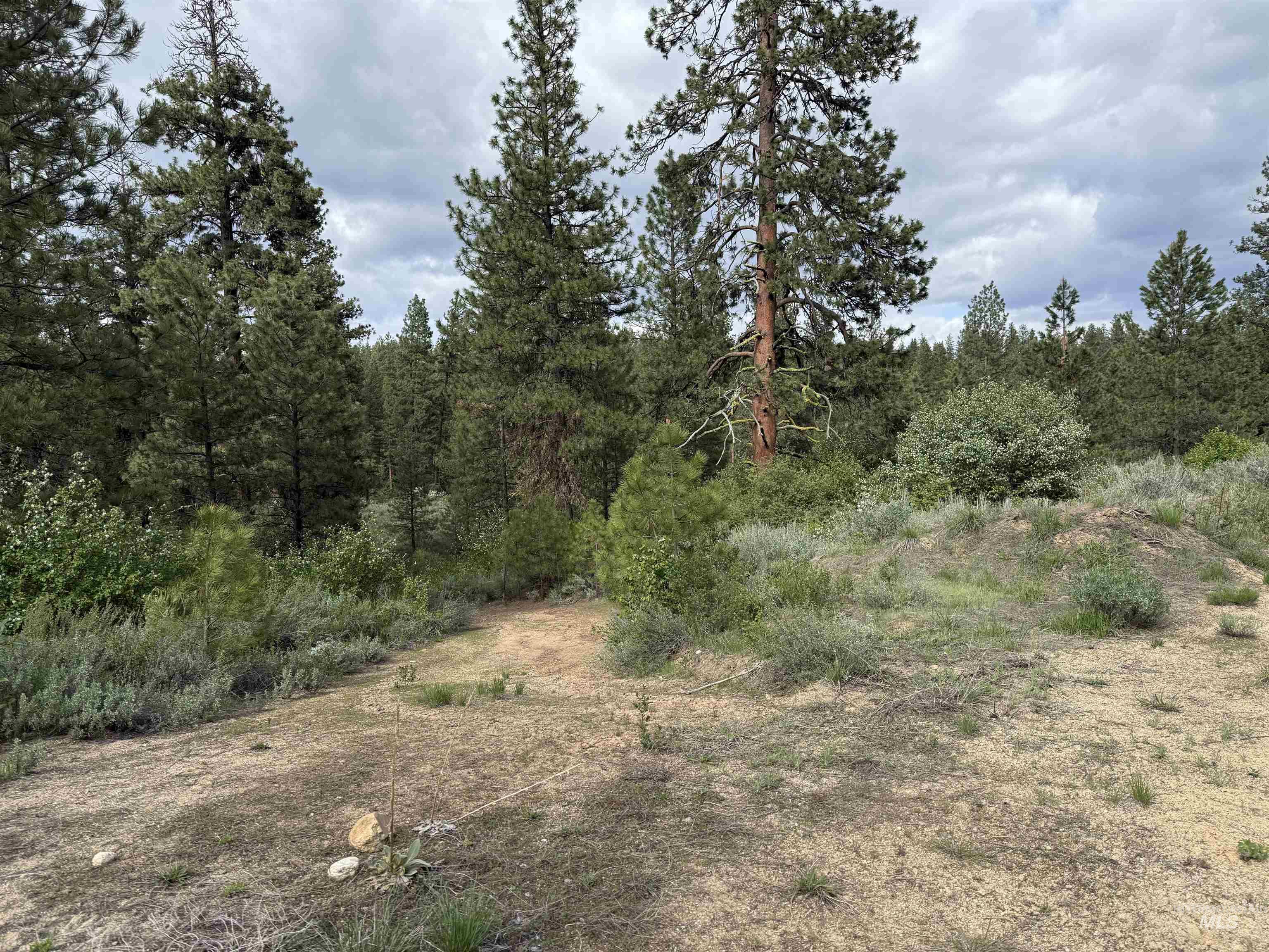 190 Meadow Dr. Lot 16 Property Photo 5