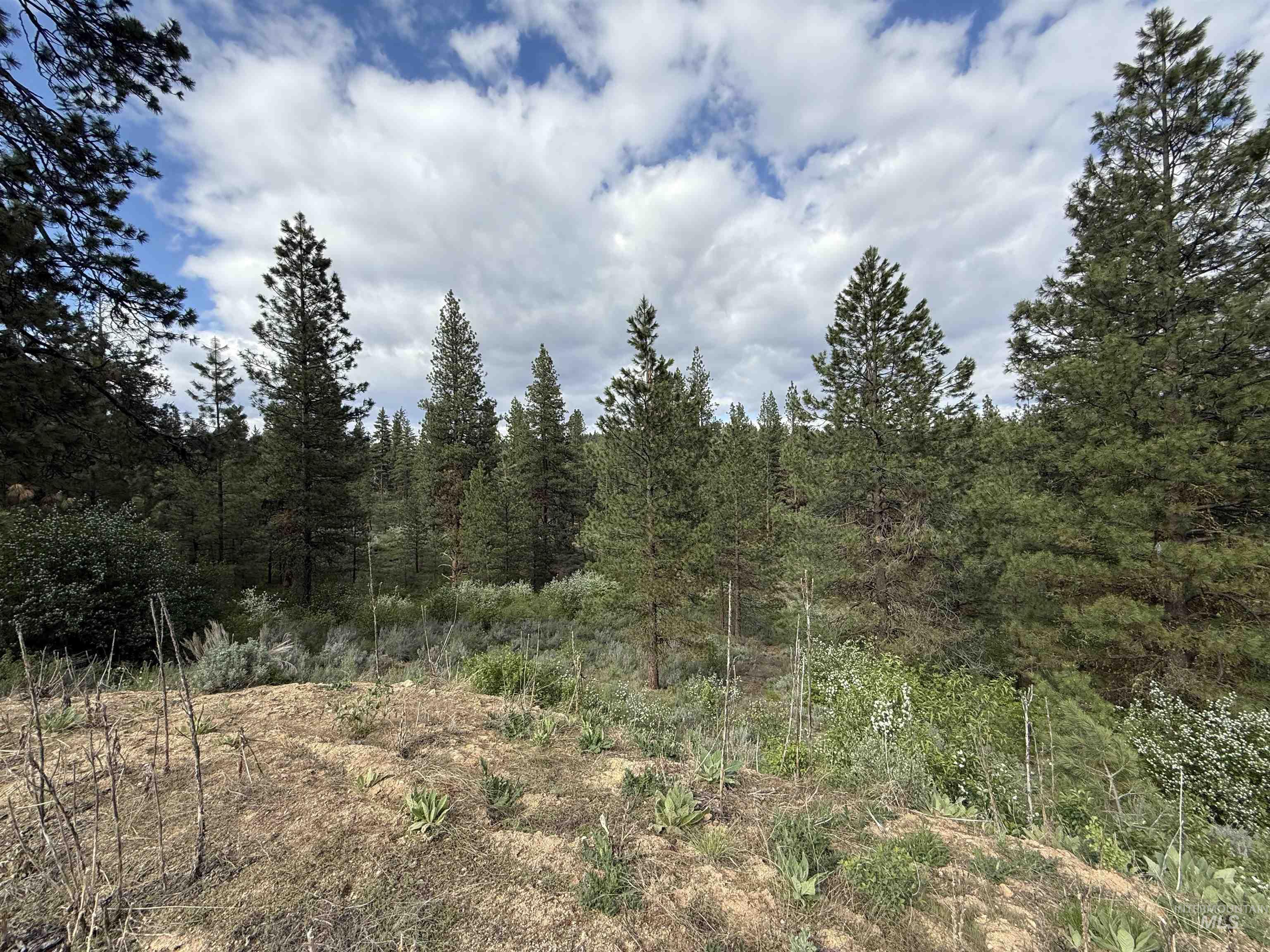 190 Meadow Dr. Lot 16 Property Photo 7