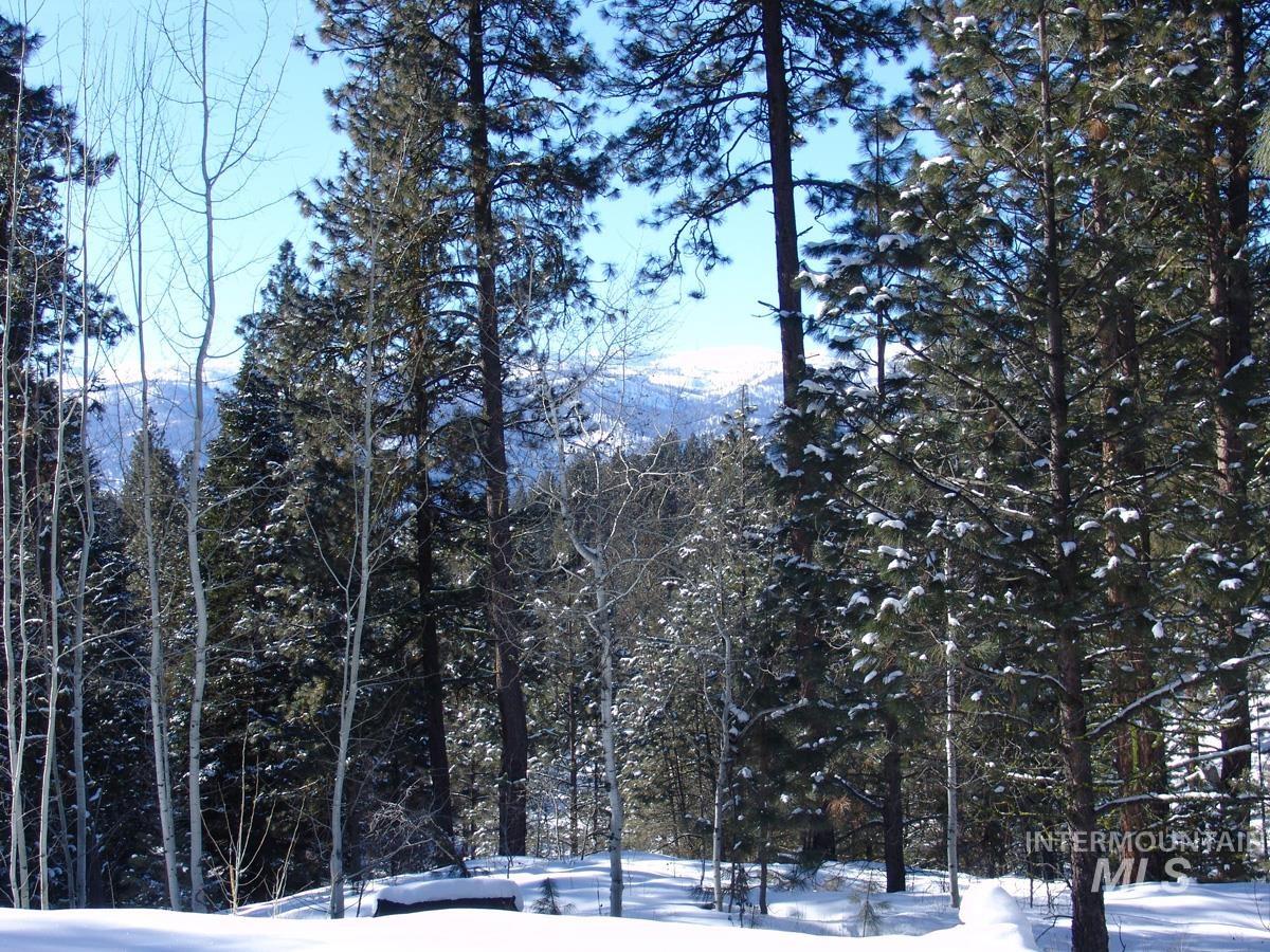 1460 Crown Point Parkway Property Photo 2