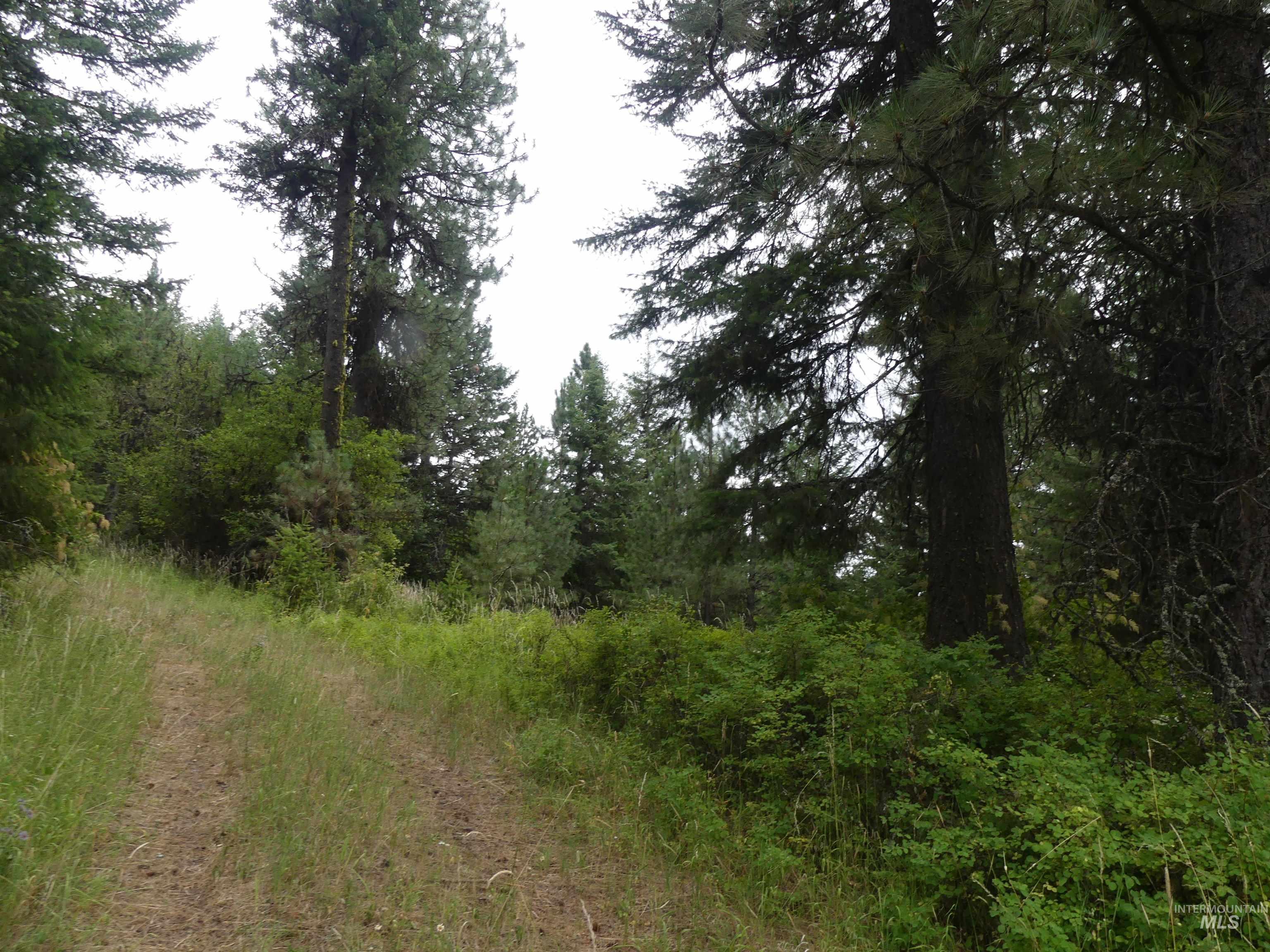 506 Devils Elbow Drive Property Photo 1