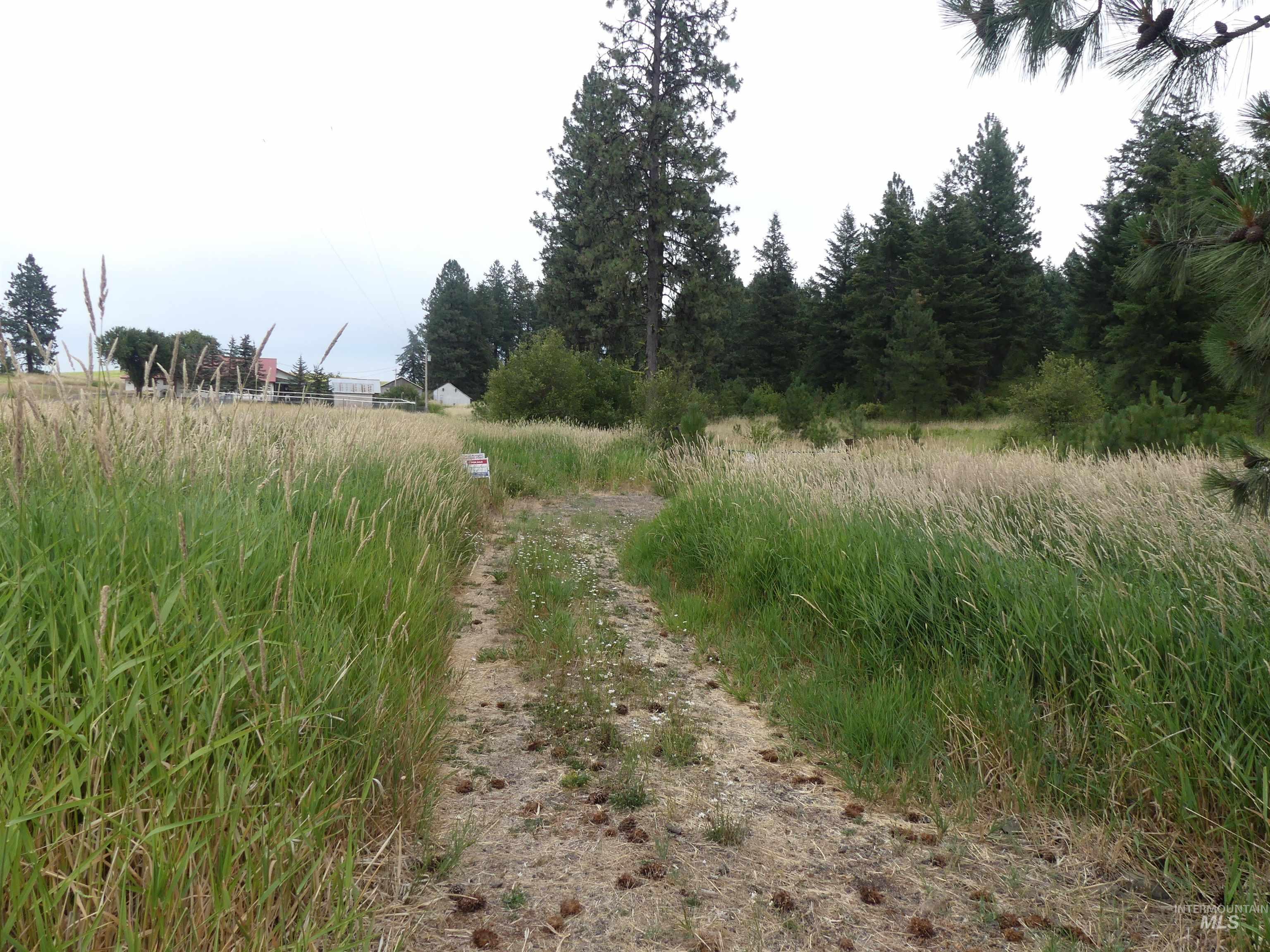 506 Devils Elbow Drive Property Photo 2