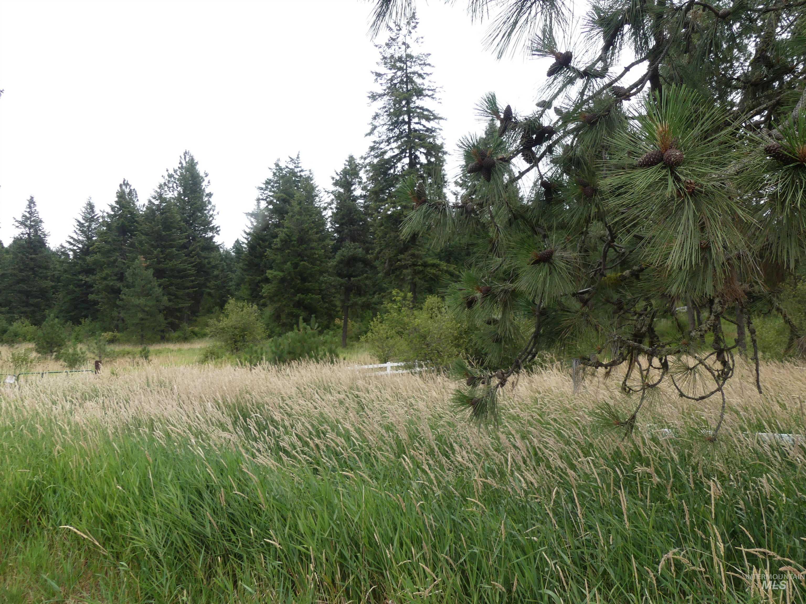 506 Devils Elbow Drive Property Photo 5