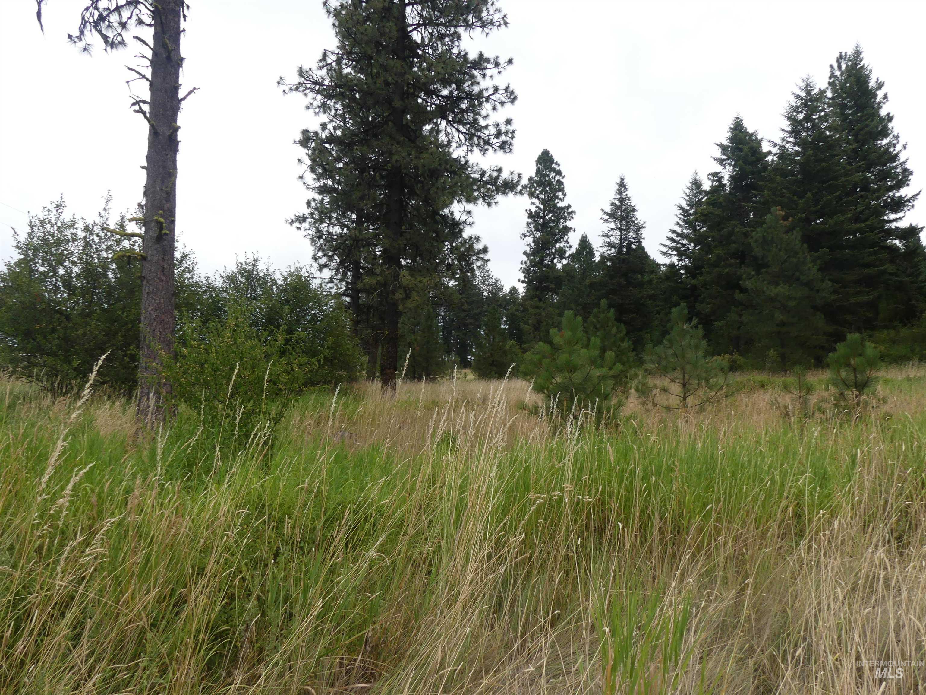 506 Devils Elbow Drive Property Photo 8