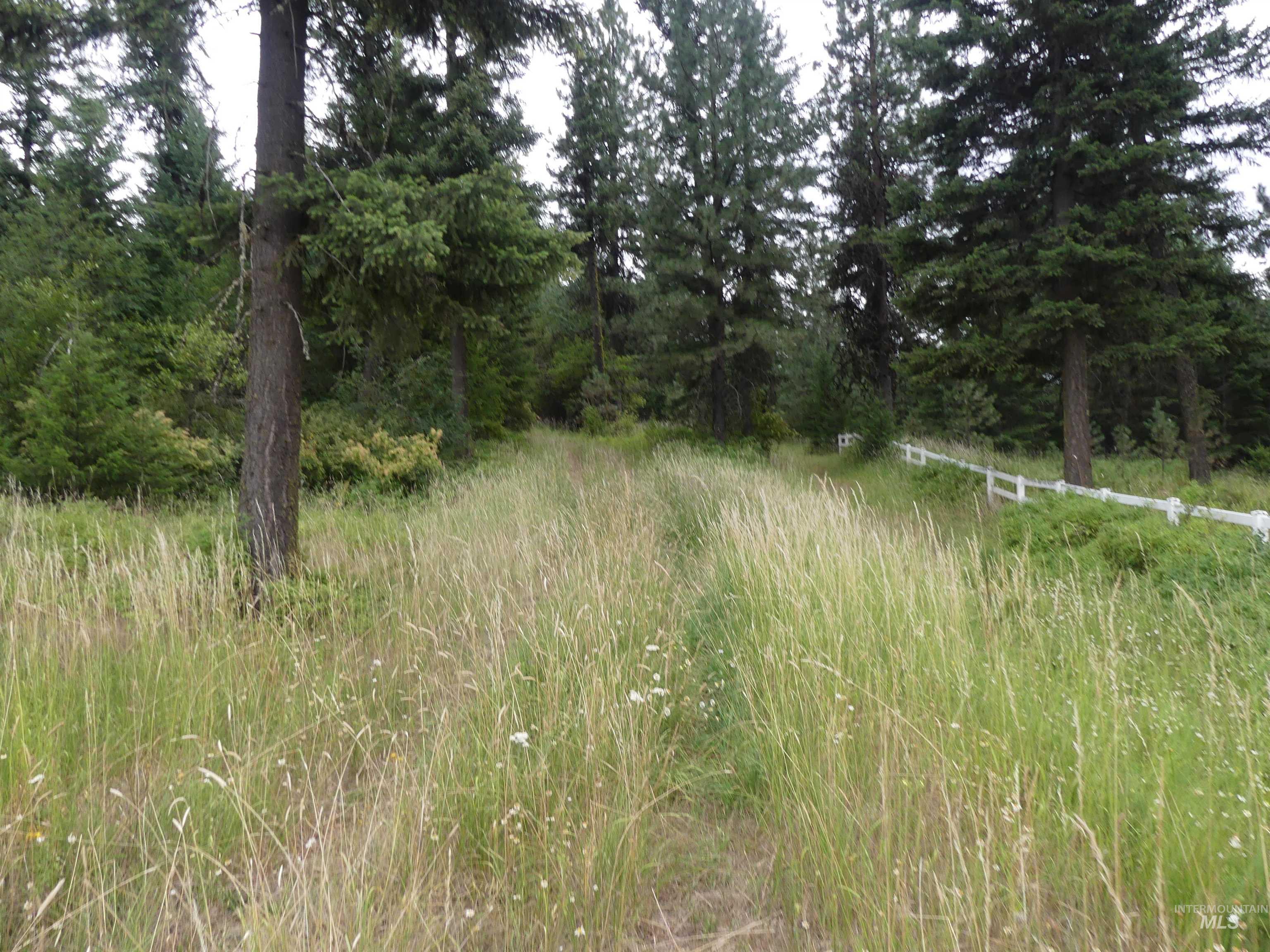 506 Devils Elbow Drive Property Photo 9