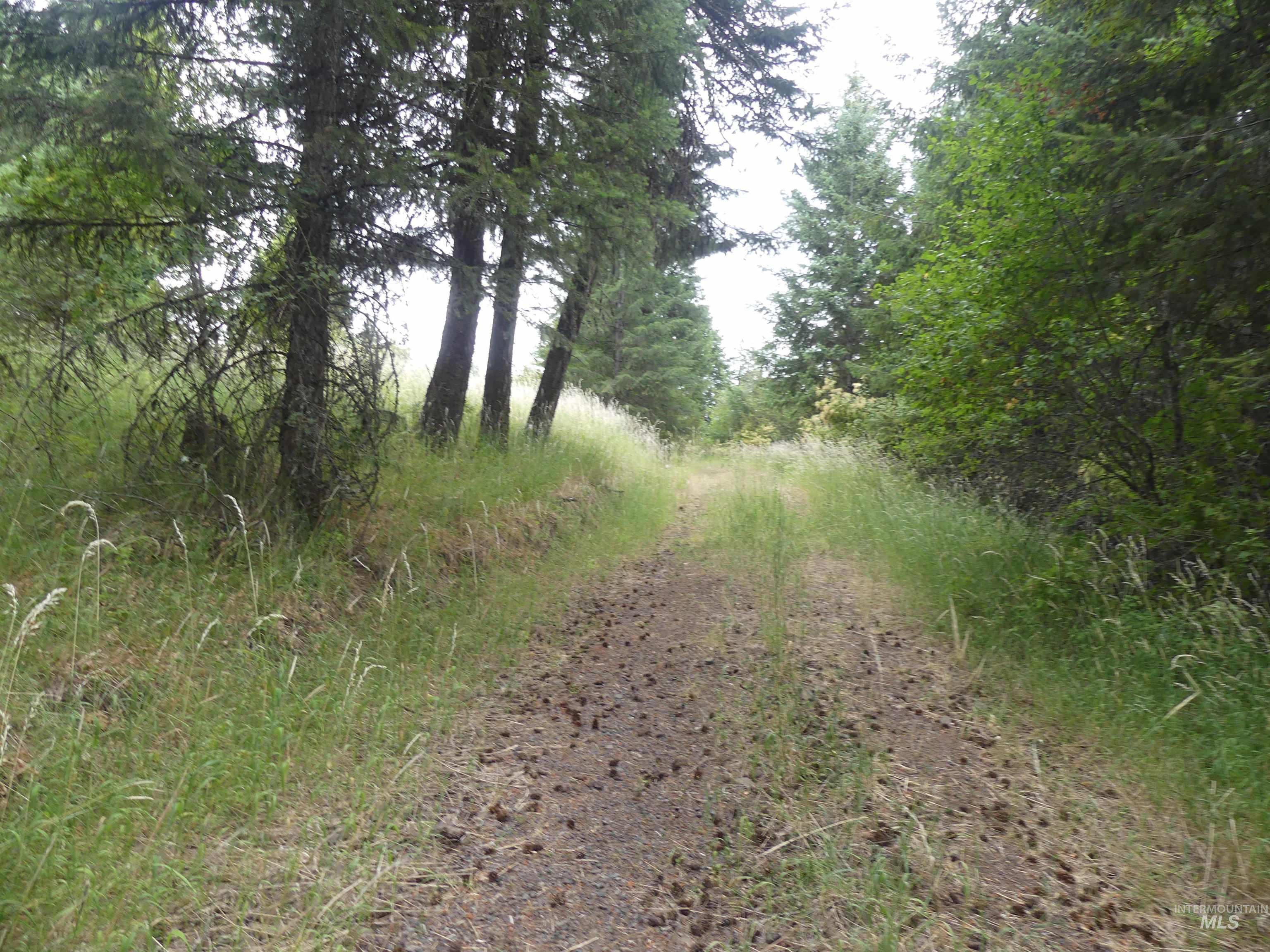 506 Devils Elbow Drive Property Photo 12