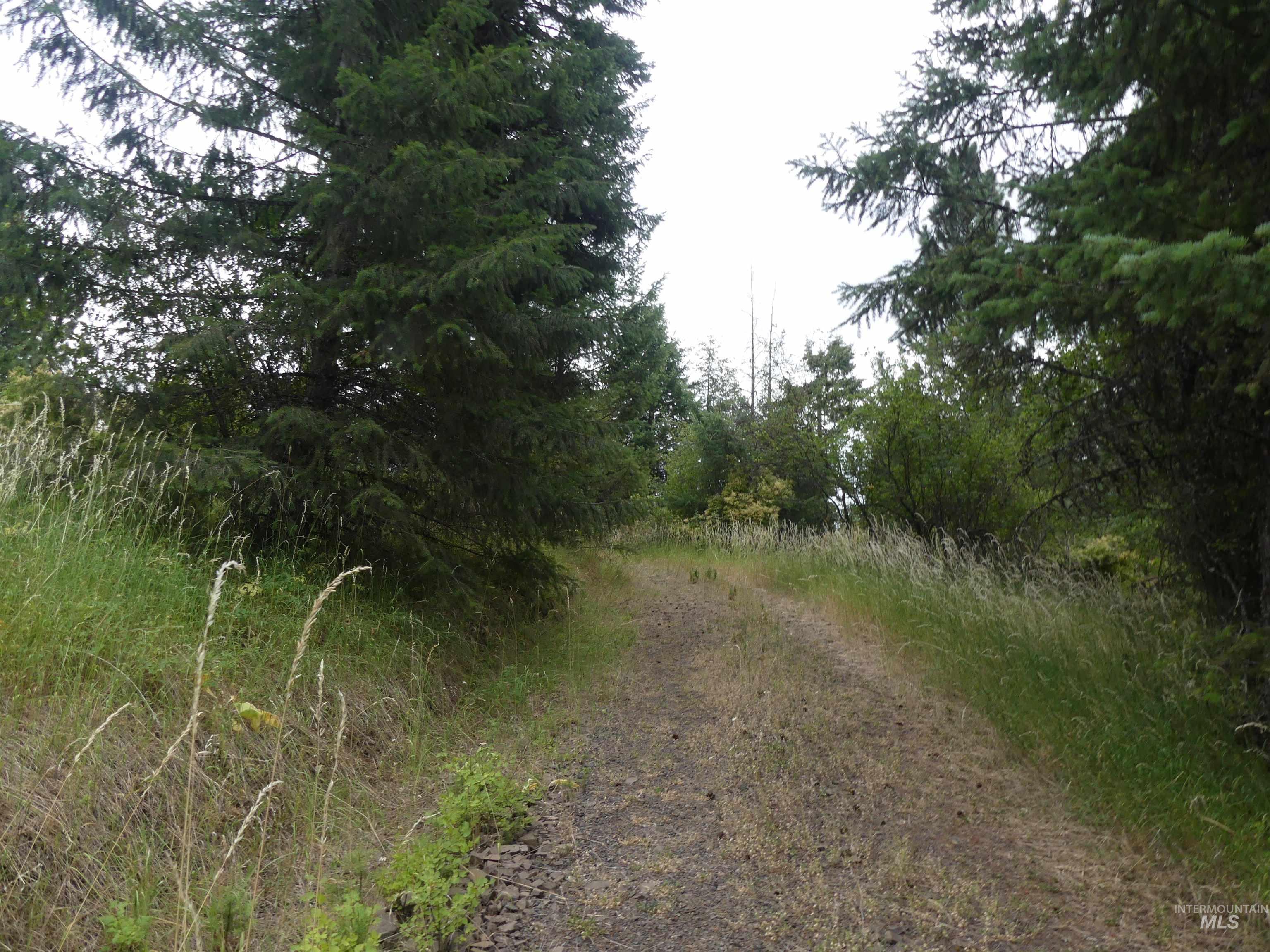 506 Devils Elbow Drive Property Photo 14