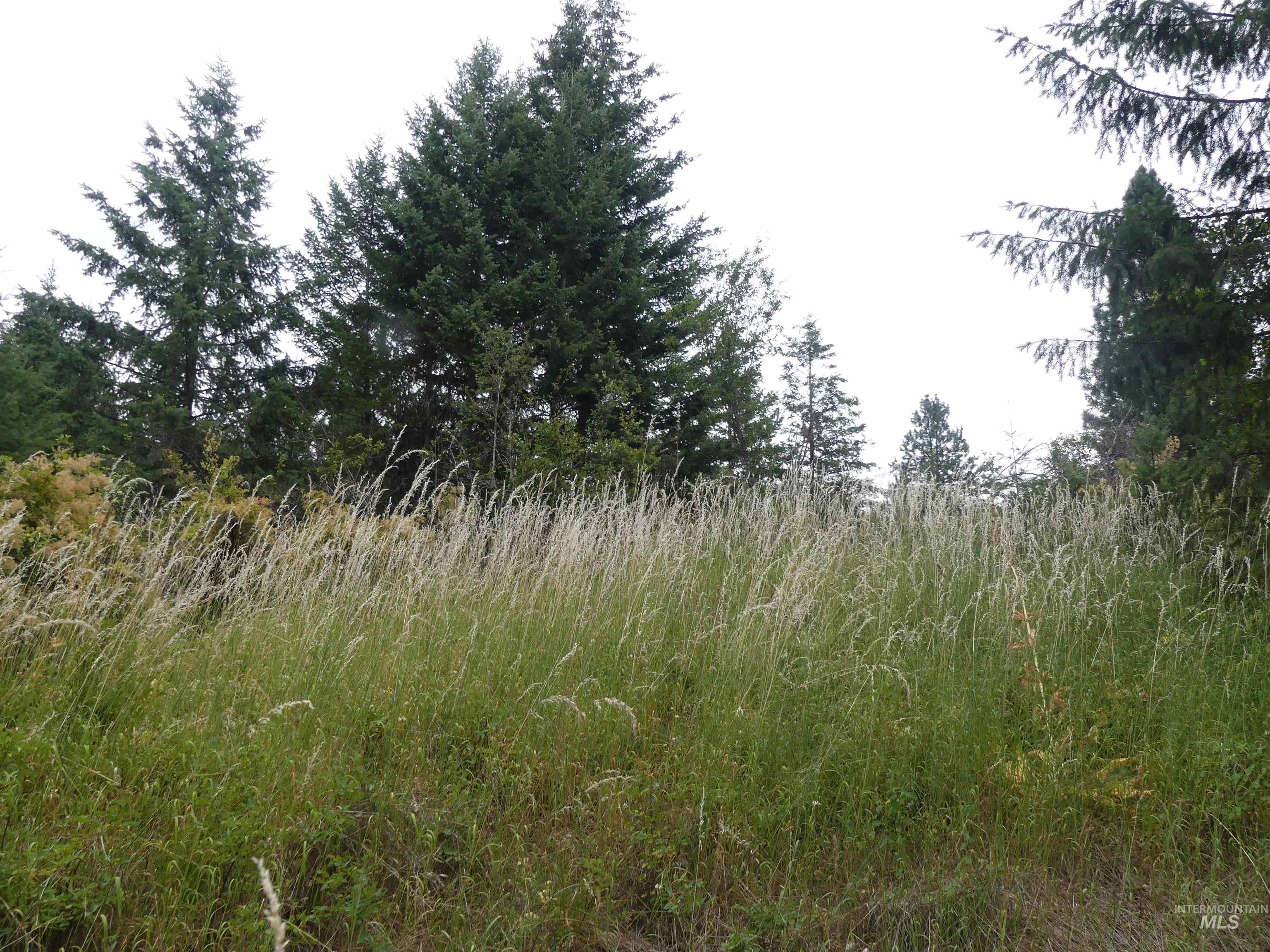 506 Devils Elbow Drive Property Photo 15