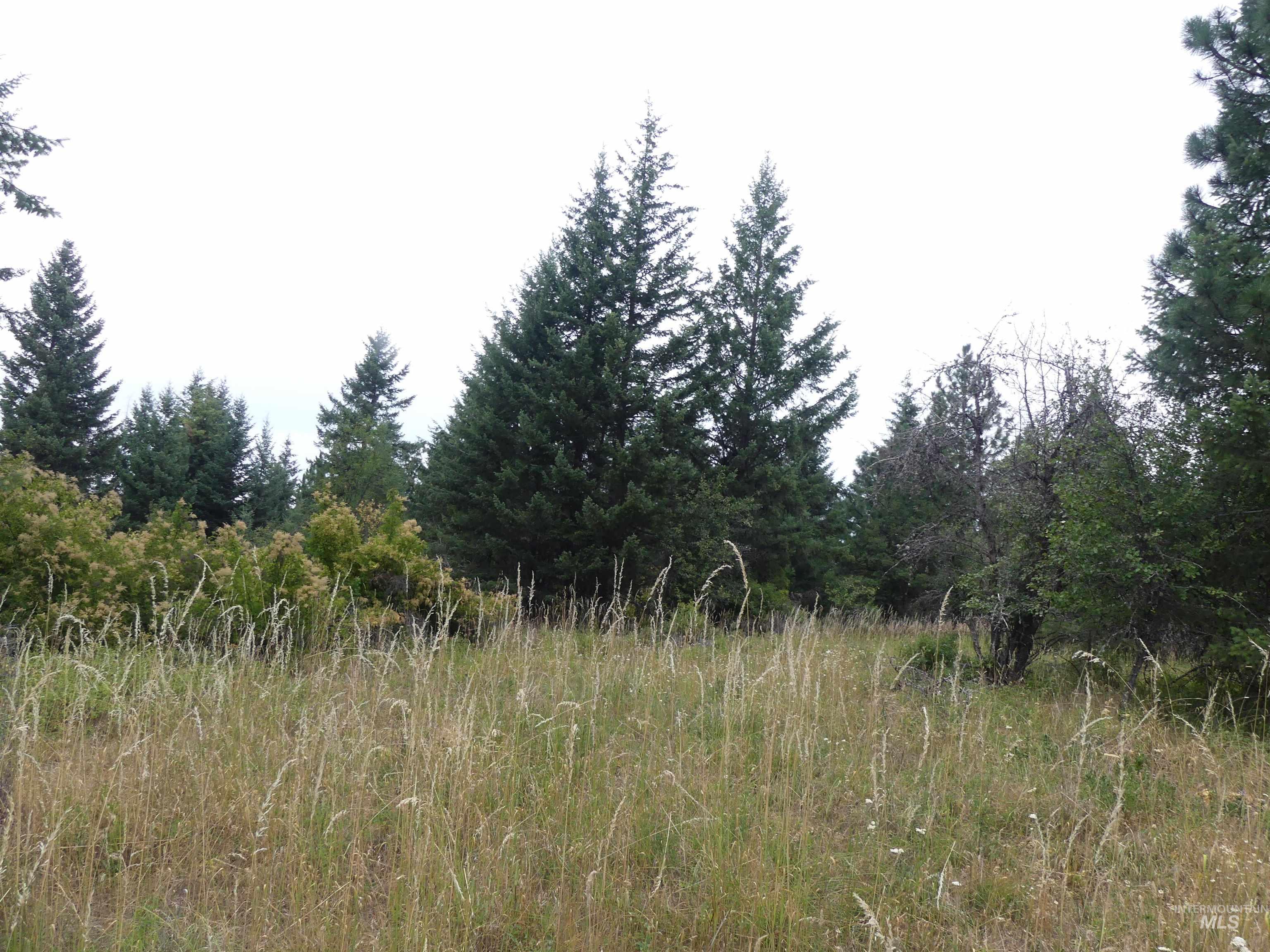 506 Devils Elbow Drive Property Photo 17