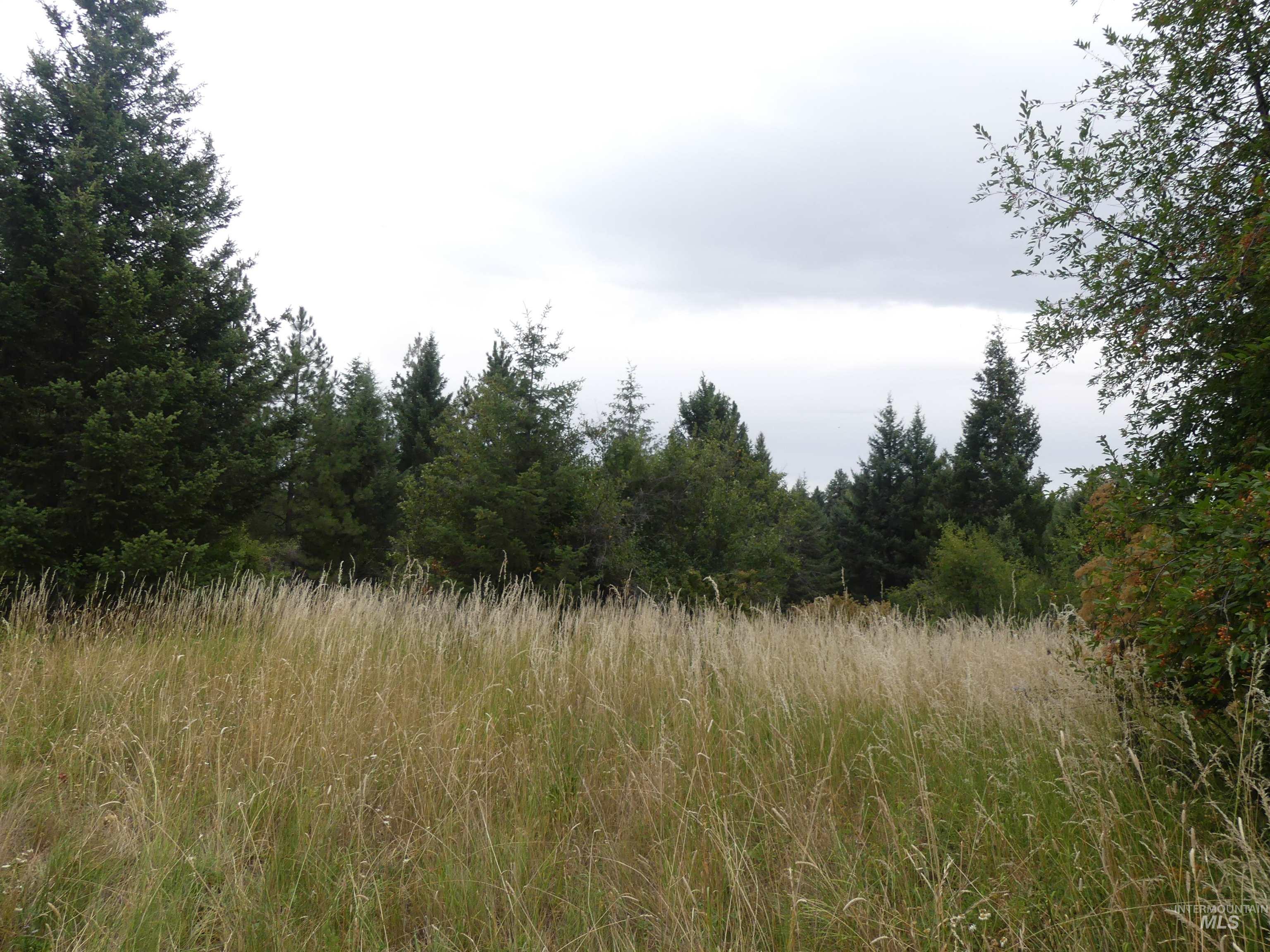 506 Devils Elbow Drive Property Photo 19