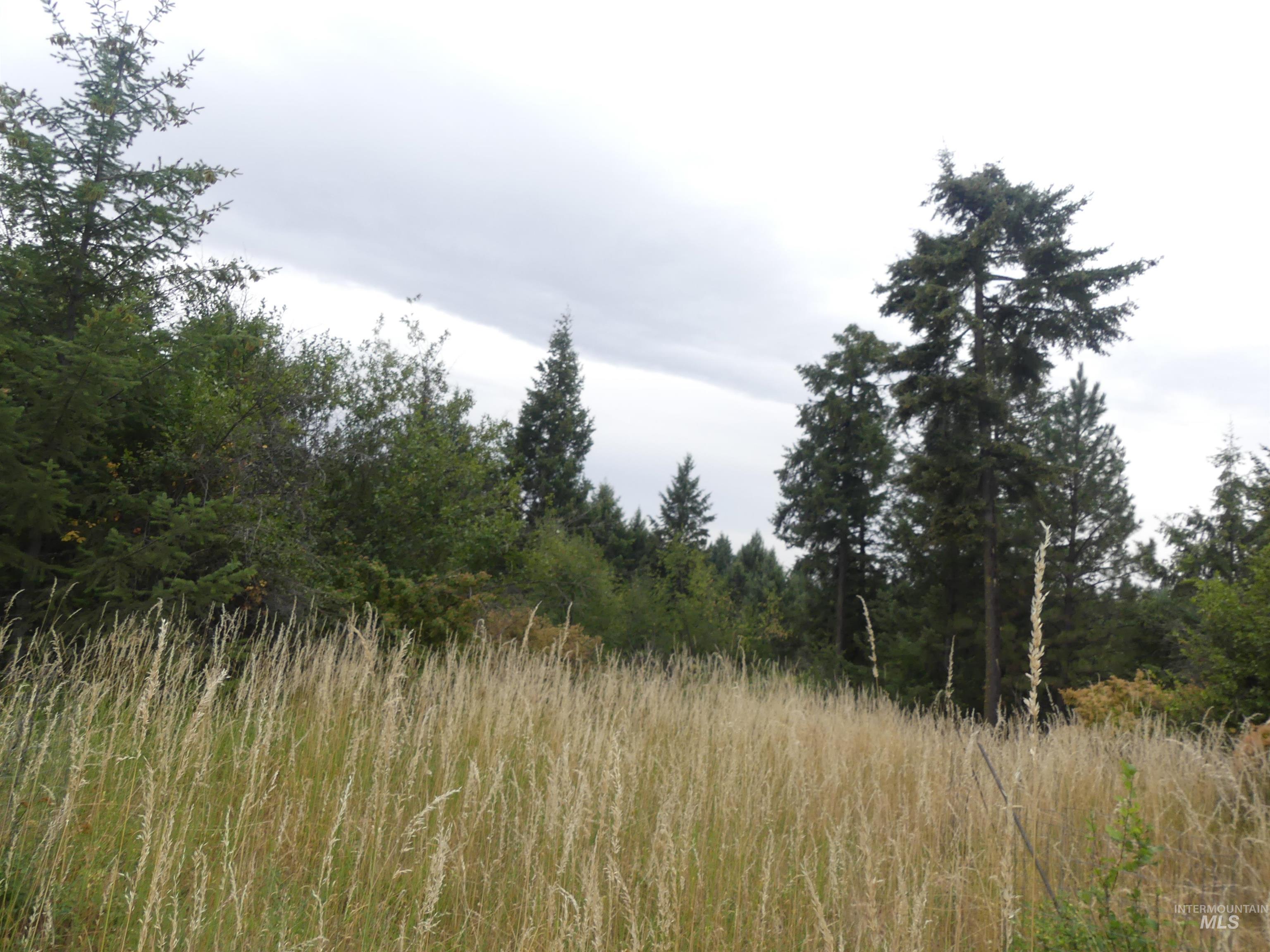 506 Devils Elbow Drive Property Photo 20