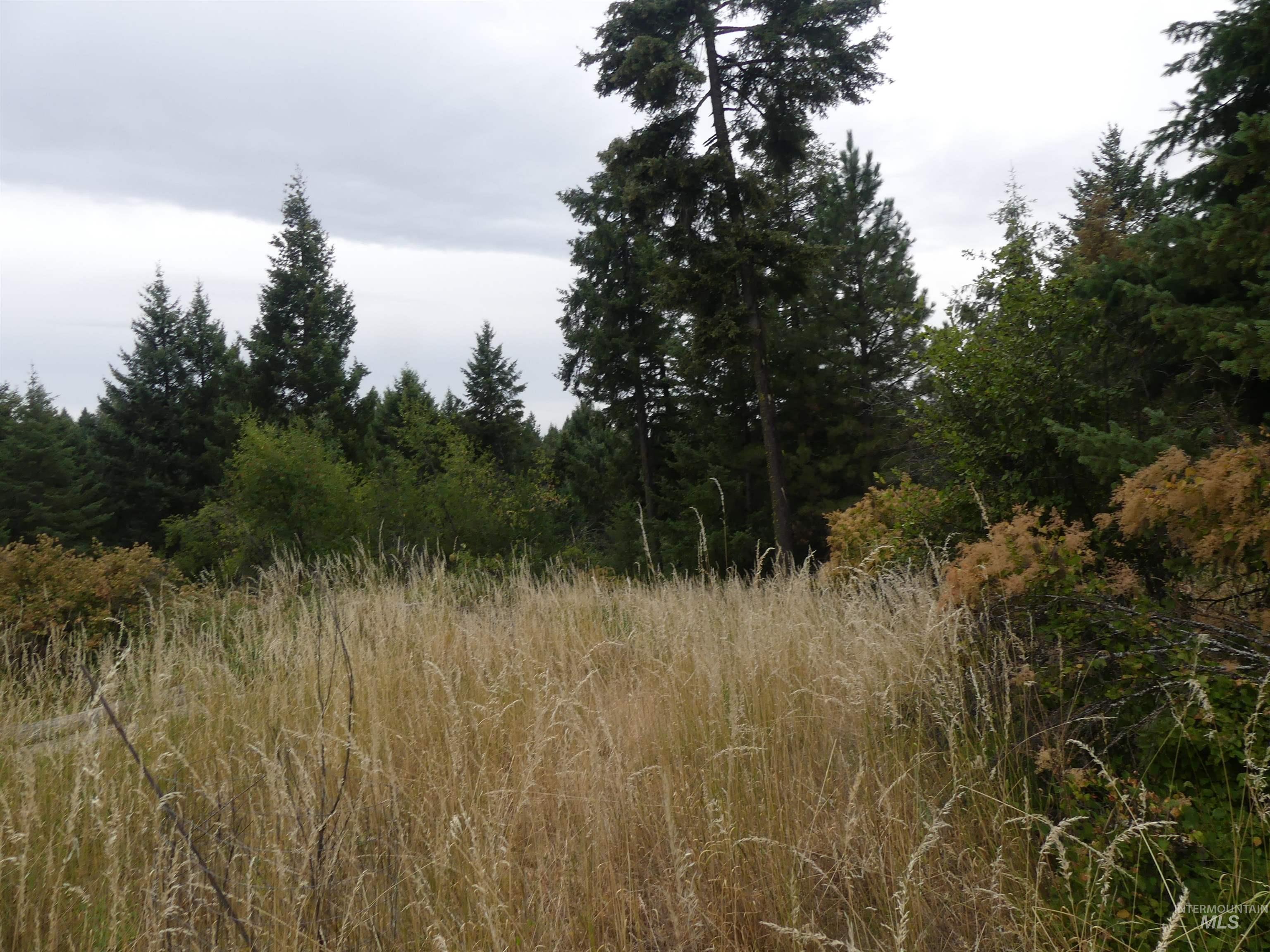 506 Devils Elbow Drive Property Photo 22