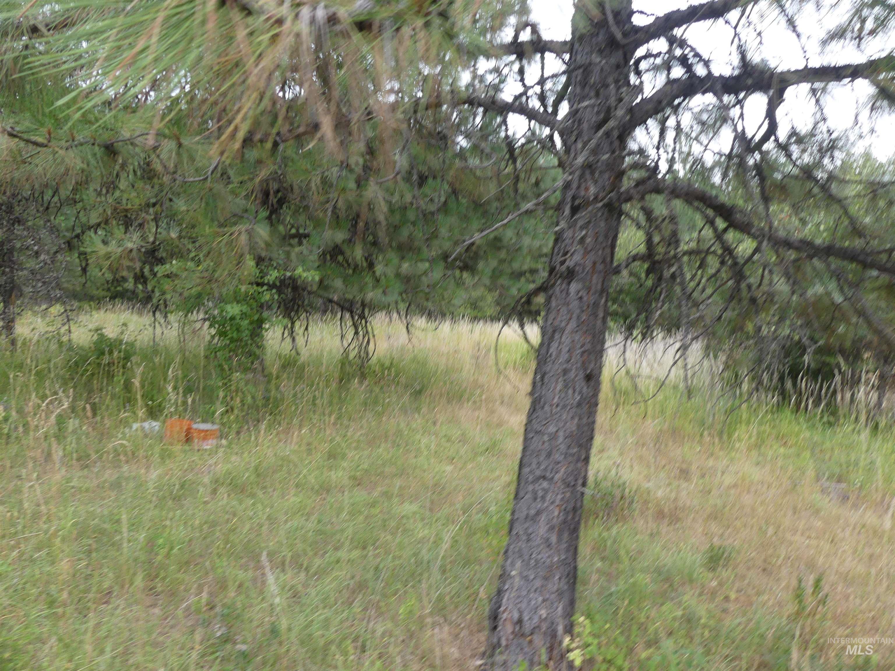 506 Devils Elbow Drive Property Photo 32