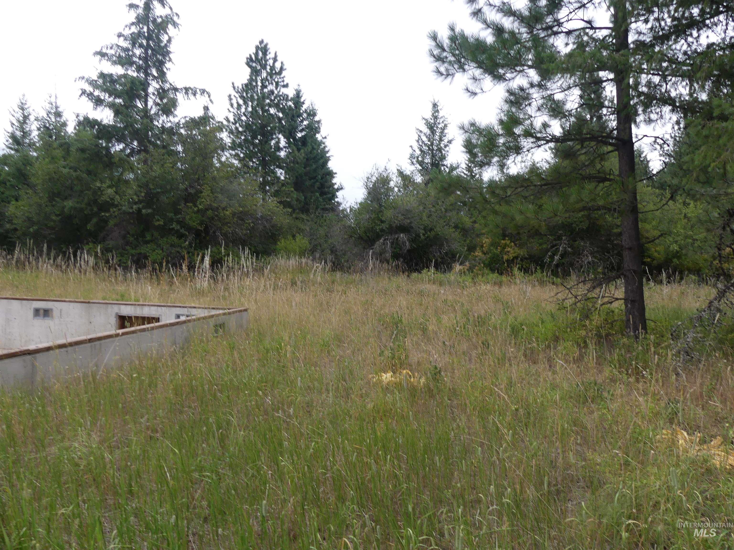 506 Devils Elbow Drive Property Photo 33