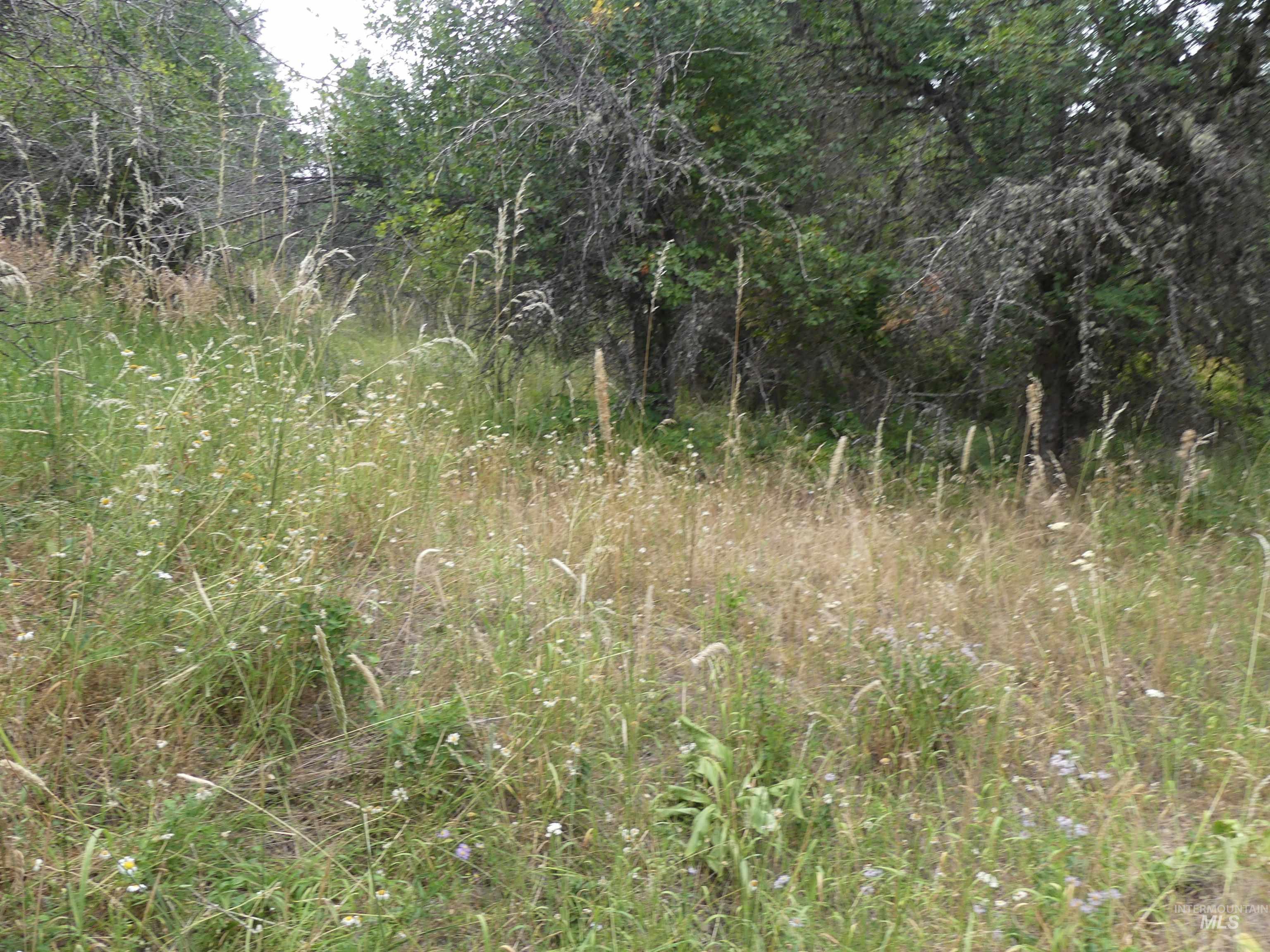 506 Devils Elbow Drive Property Photo 41