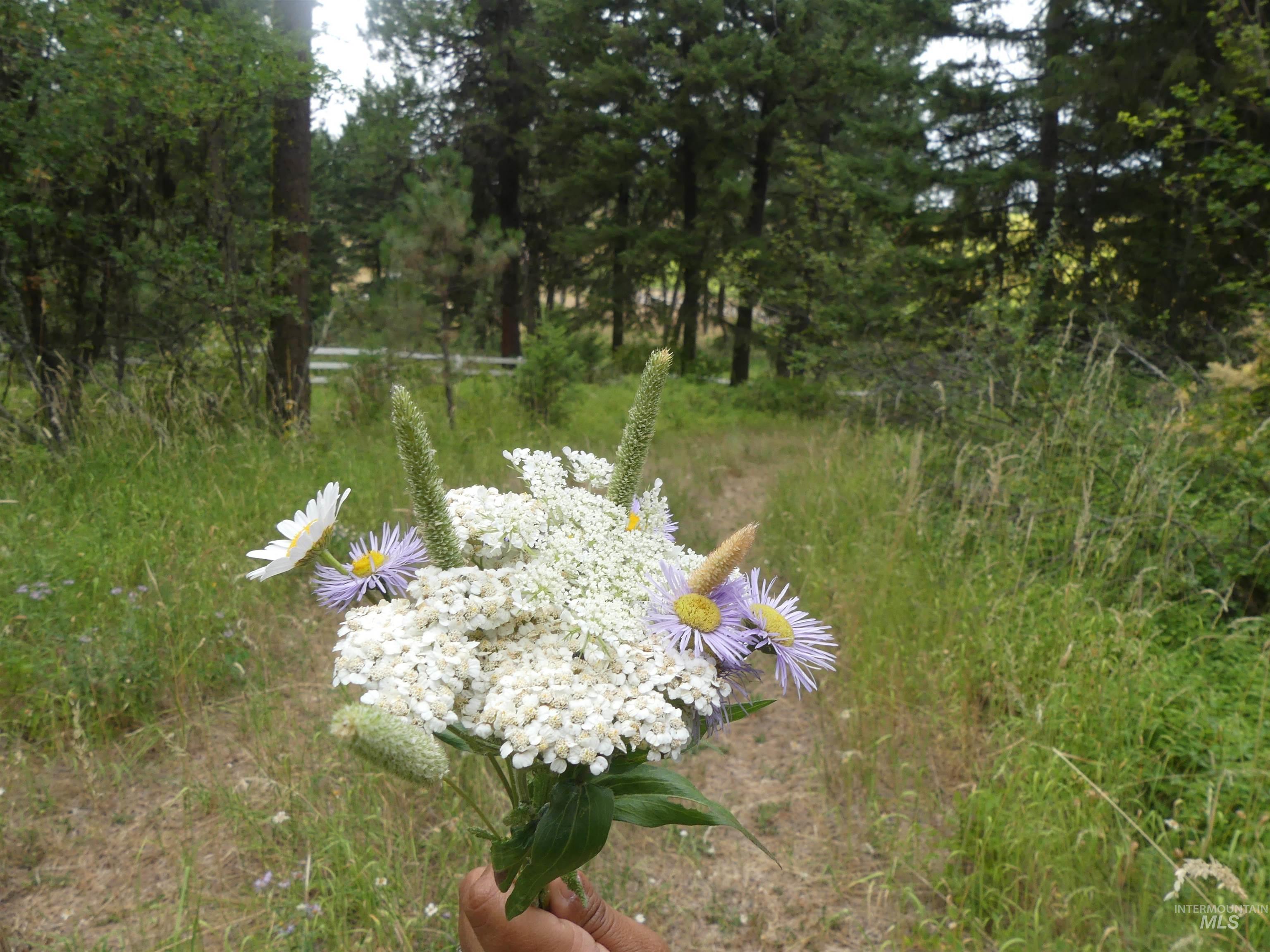 506 Devils Elbow Drive Property Photo 46