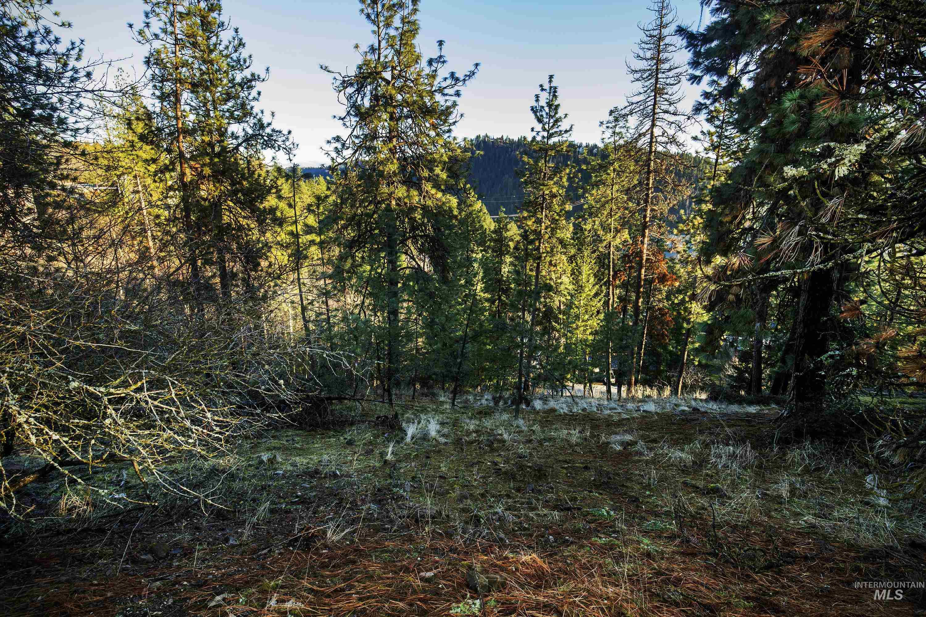 Coeur D'alene Real Estate Listings Main Image