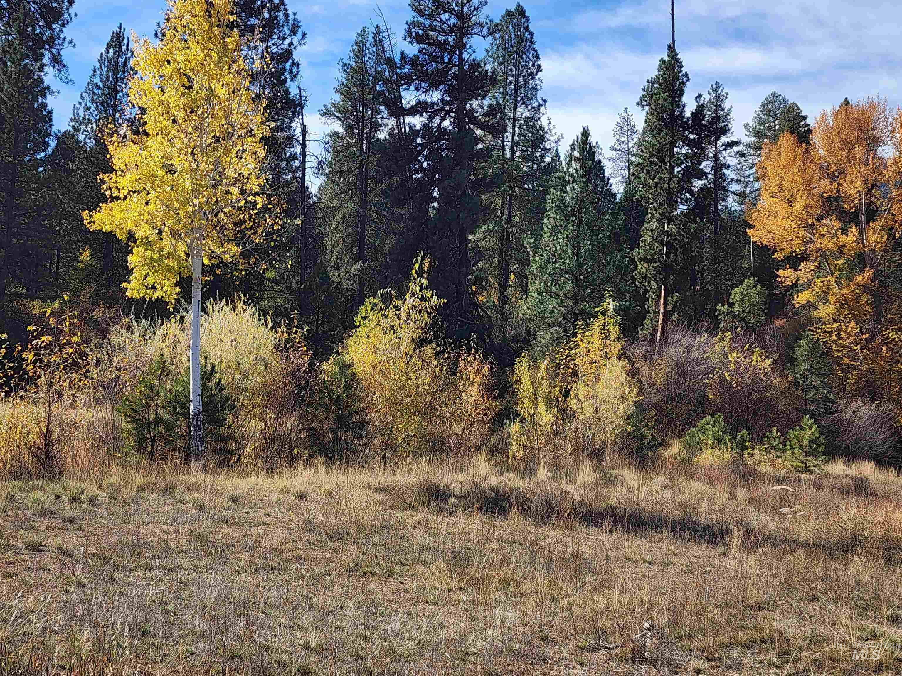 Lot 11 Blk 7 Singing Springs Way Property Photo 17