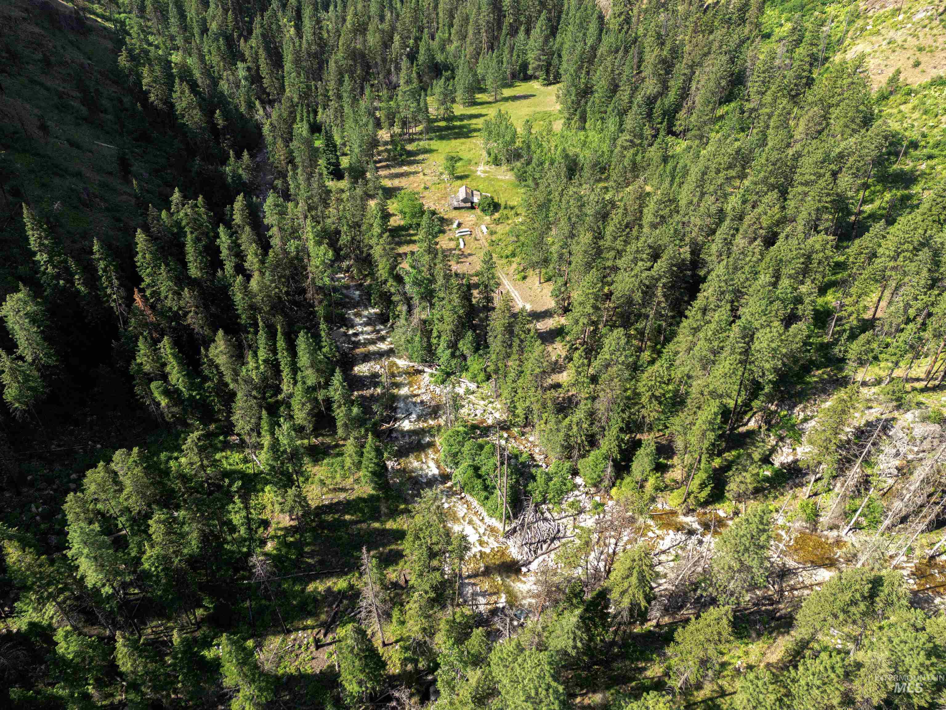 3869 Big Salmon River Rd Property Photo 3