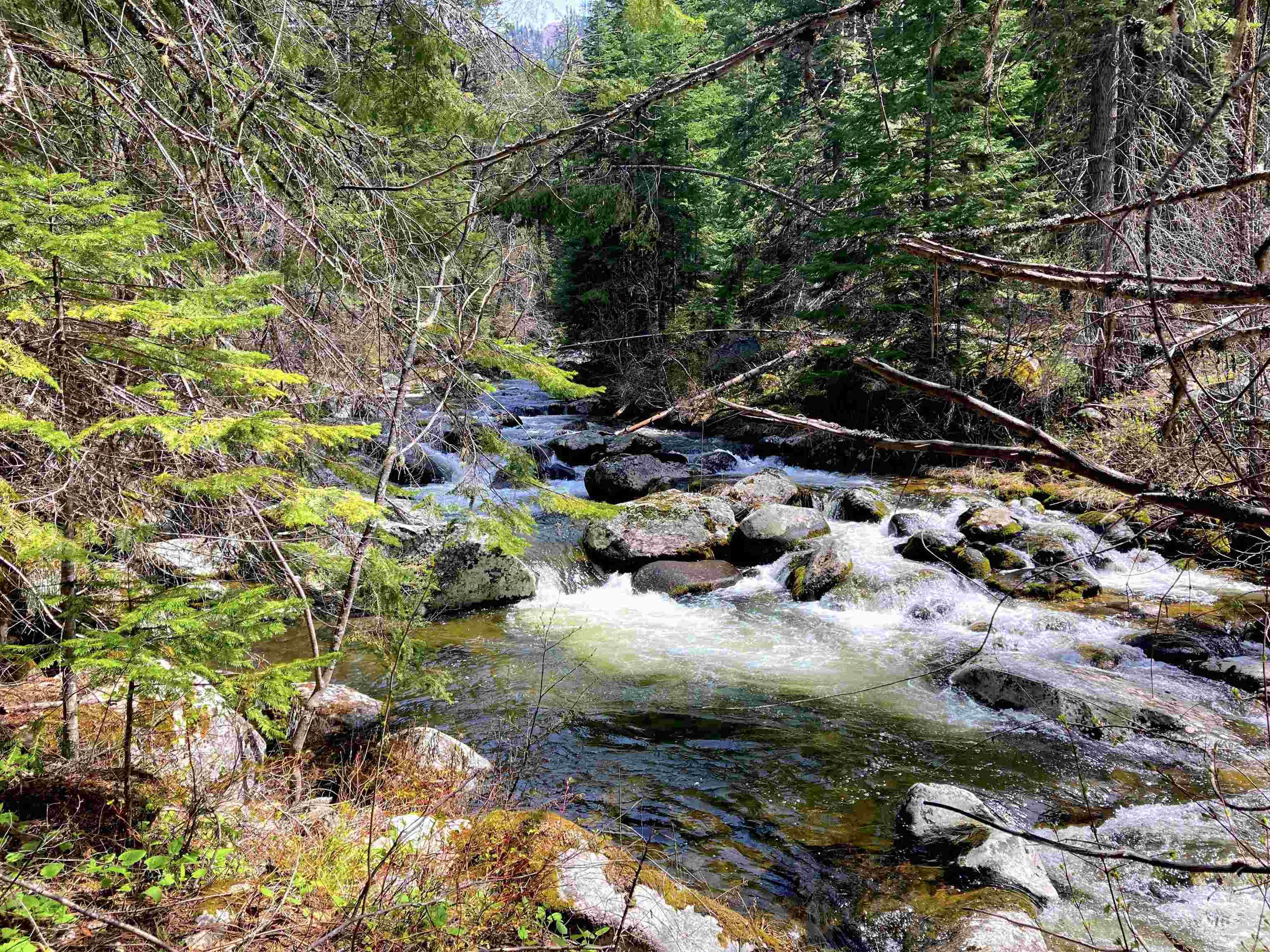 3869 Big Salmon River Rd Property Photo 4