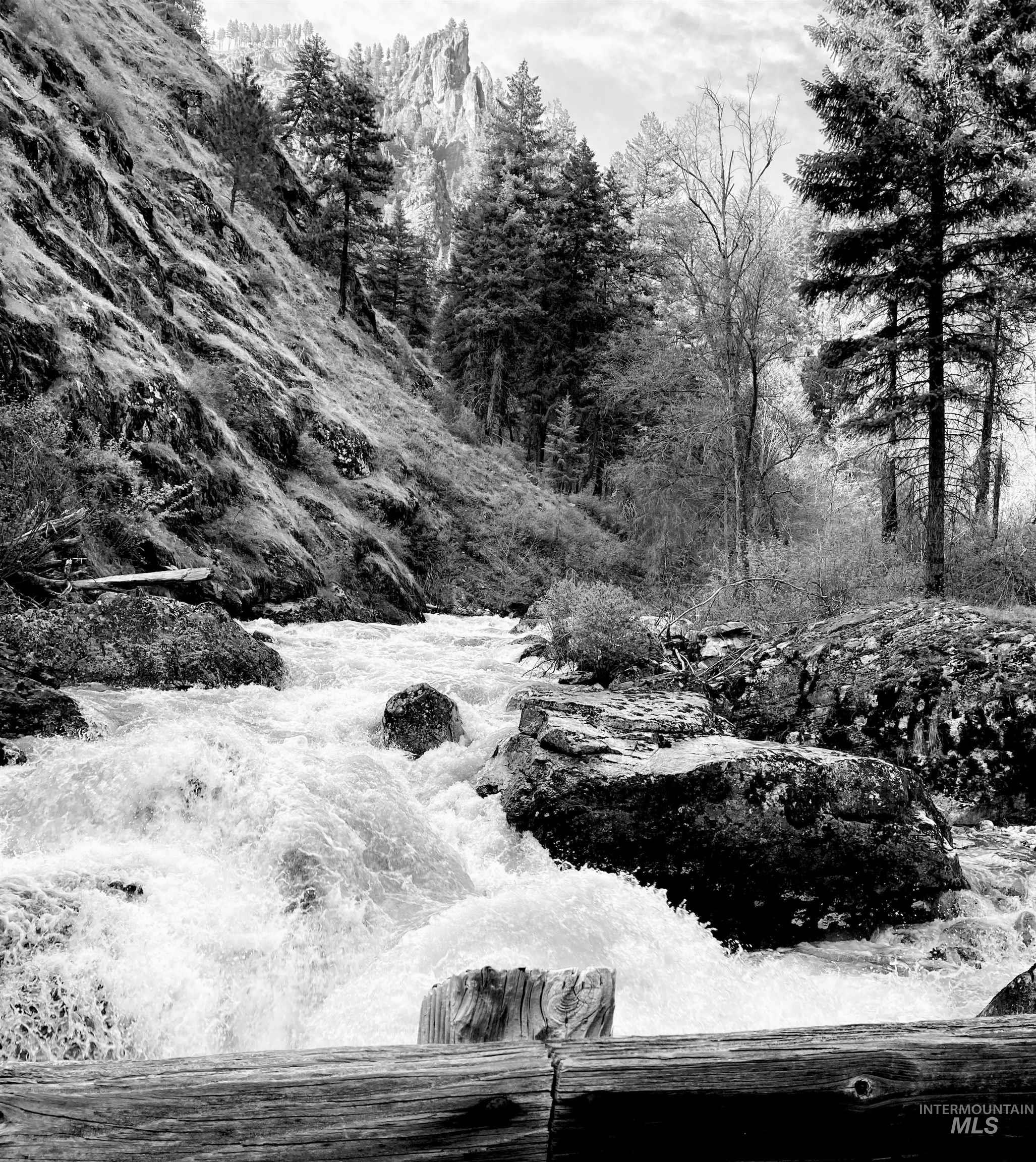 3869 Big Salmon River Rd Property Photo 8