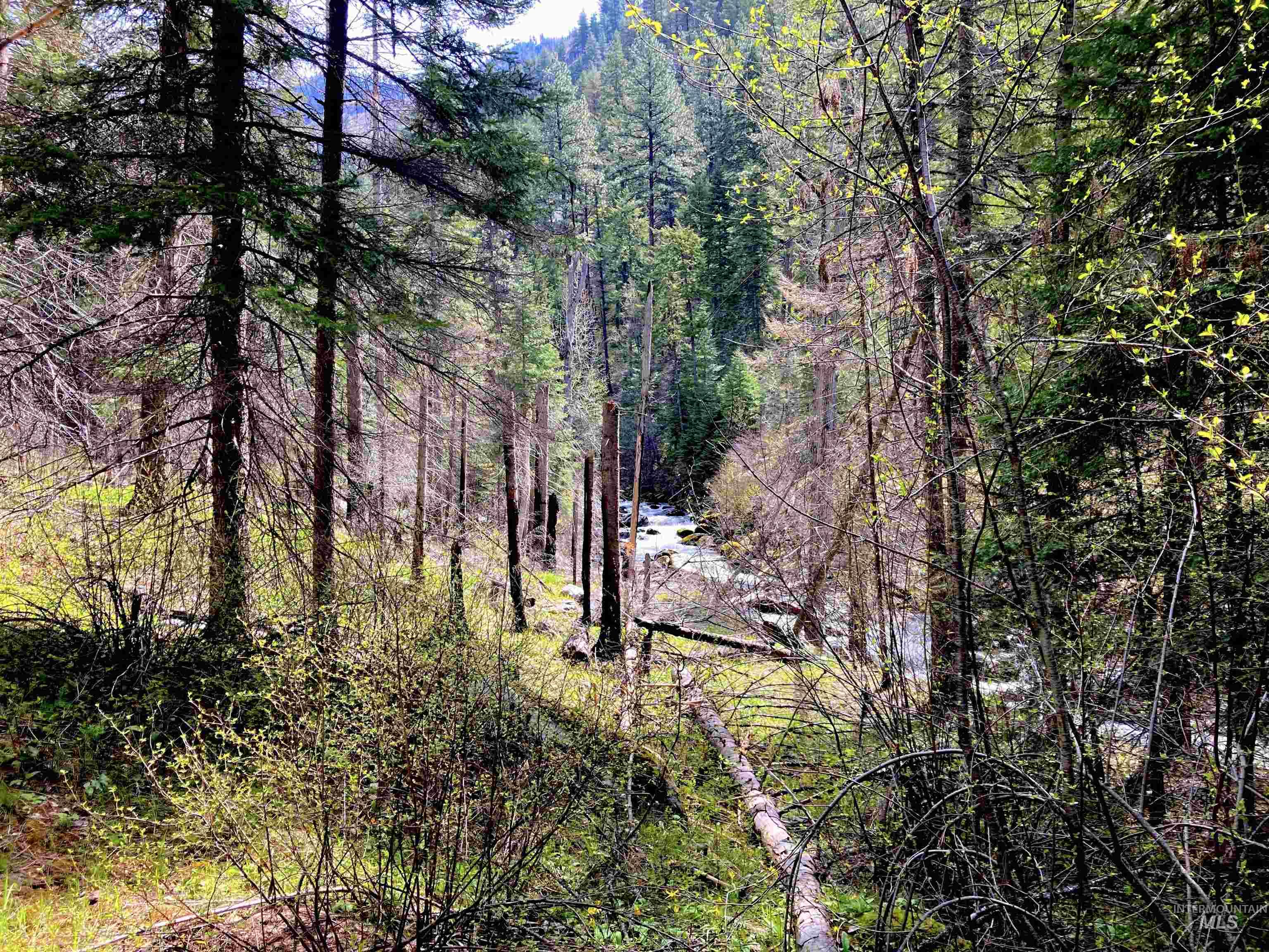 3869 Big Salmon River Rd Property Photo 21
